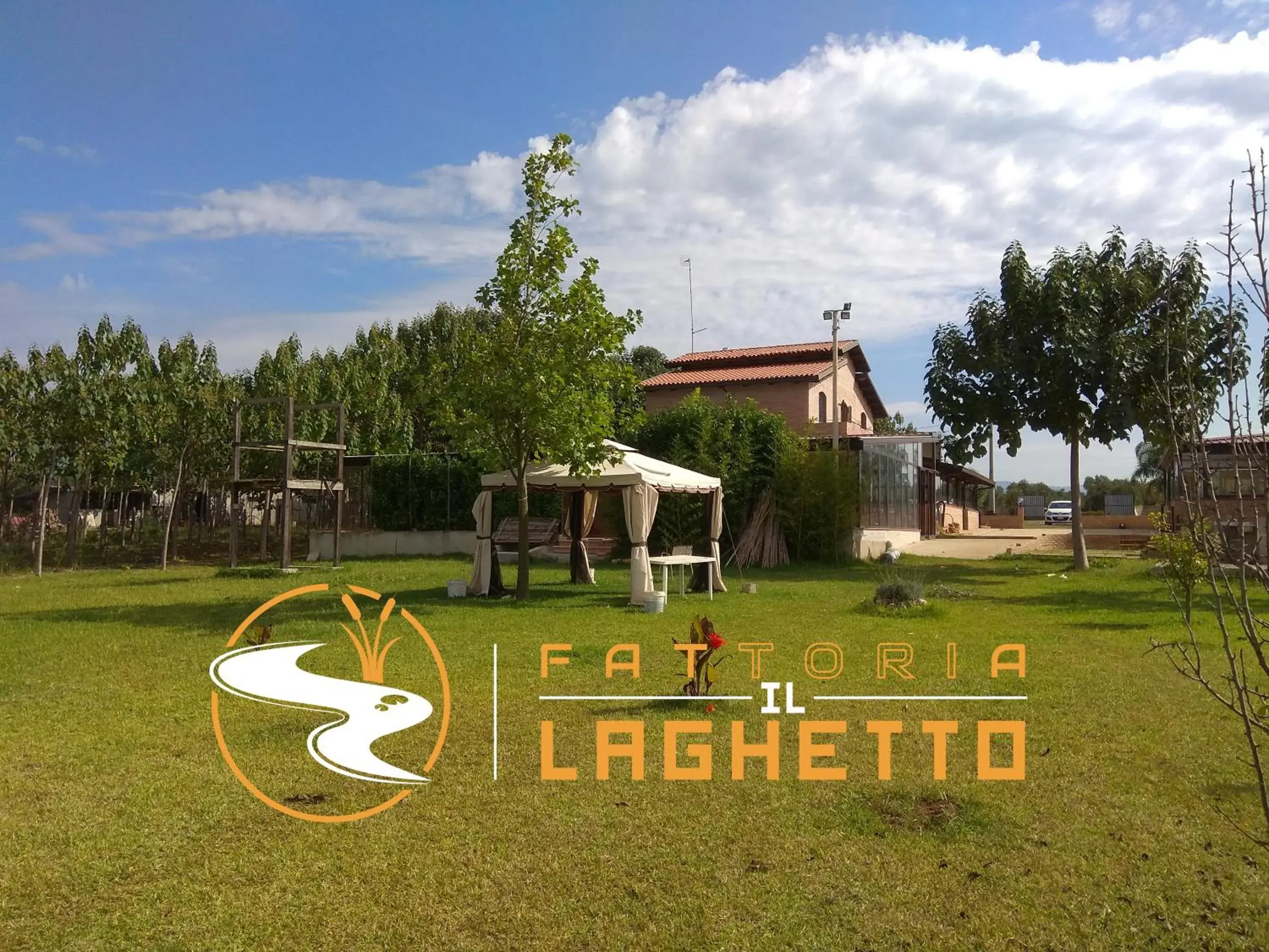 Fattoria Il Laghetto Fattoria Il Laghetto
