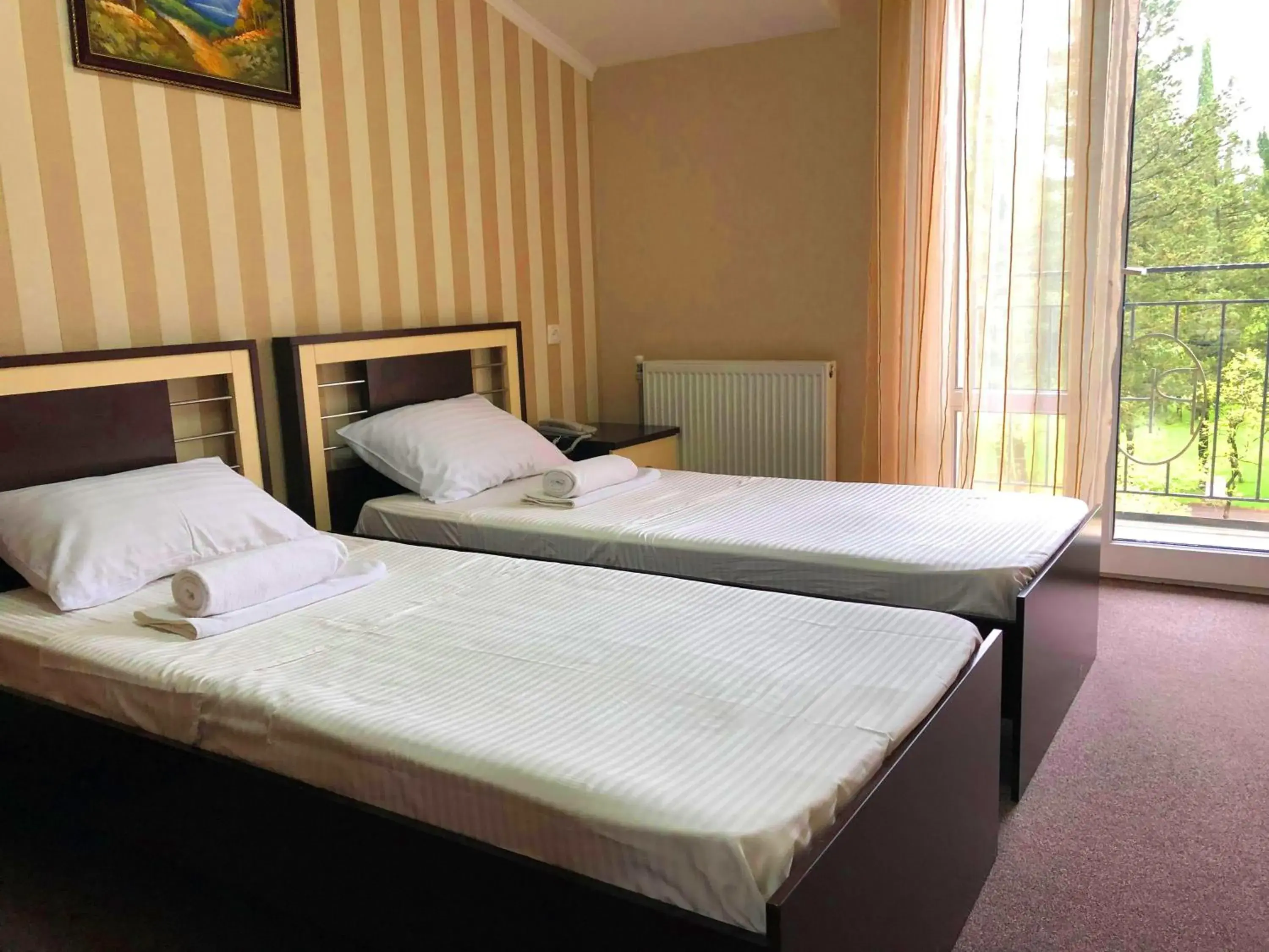 Budget Double or Twin Room - single occupancy in Park Hotel Imeri kutaisi Budget Double or Twin Room - single occupancy in Park Hotel Imeri kutaisi