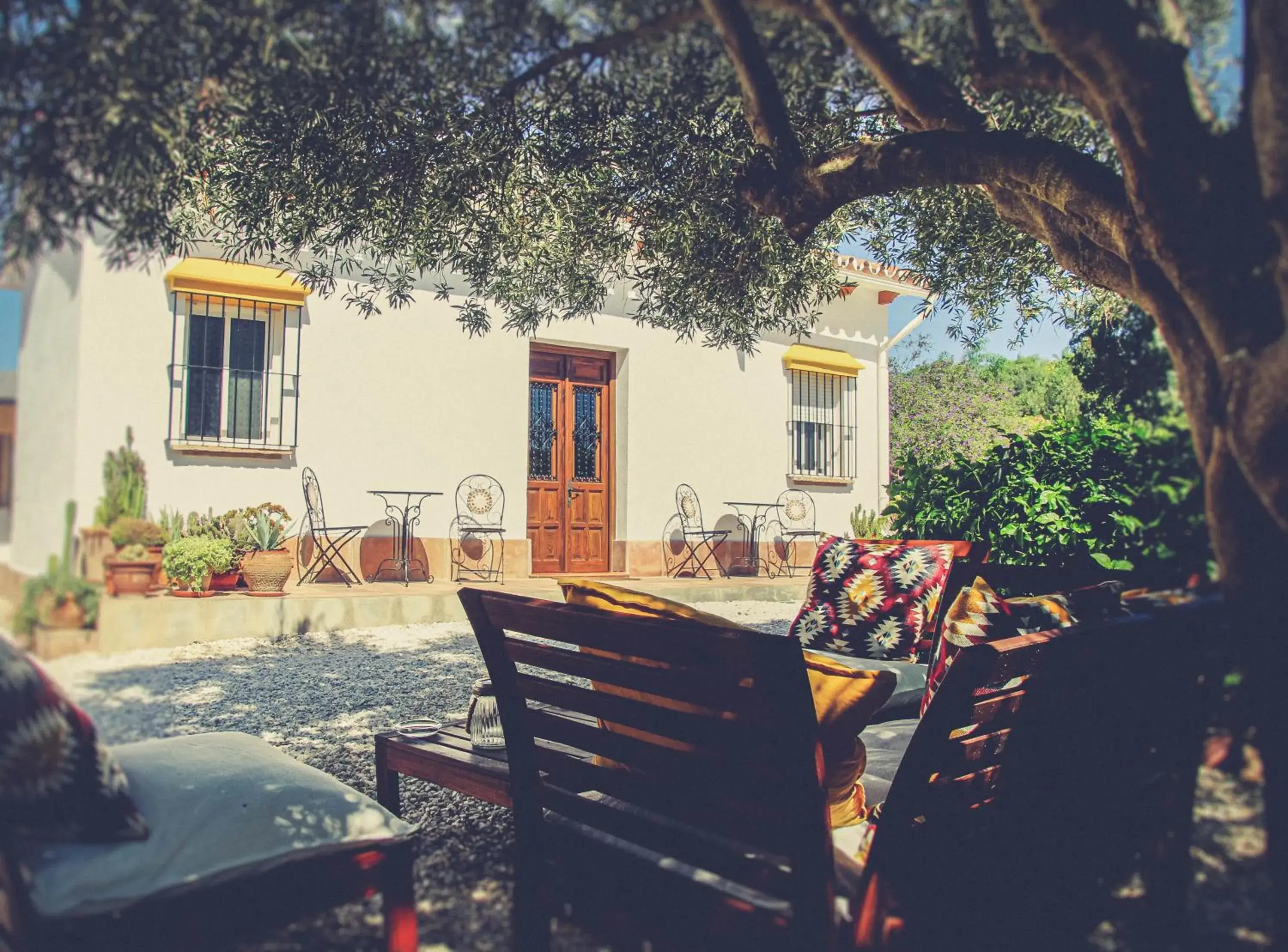 Deluxe Double Room in Finca El Limonar Deluxe Double Room in Finca El Limonar