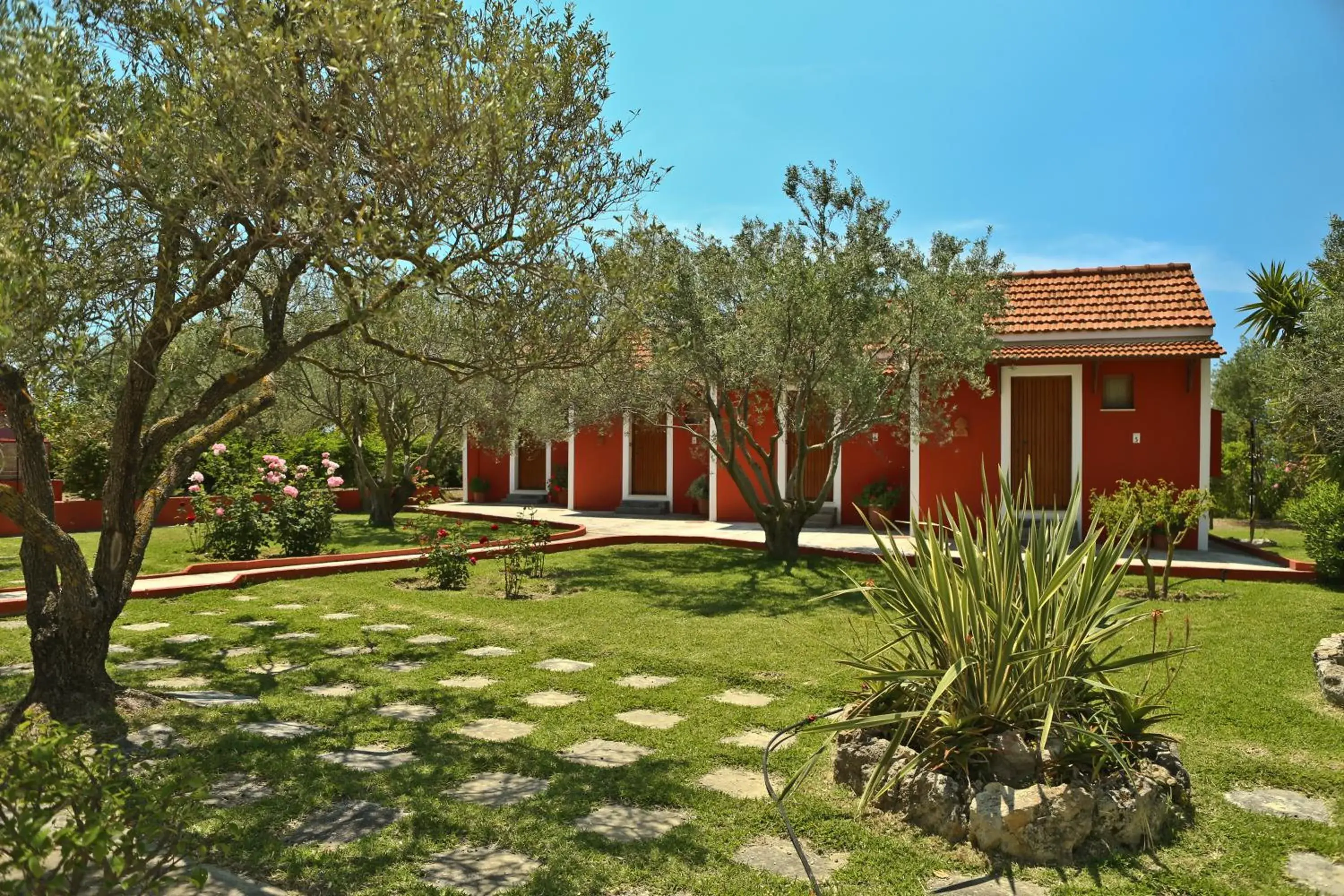 Dendrolivano Dendrolivano