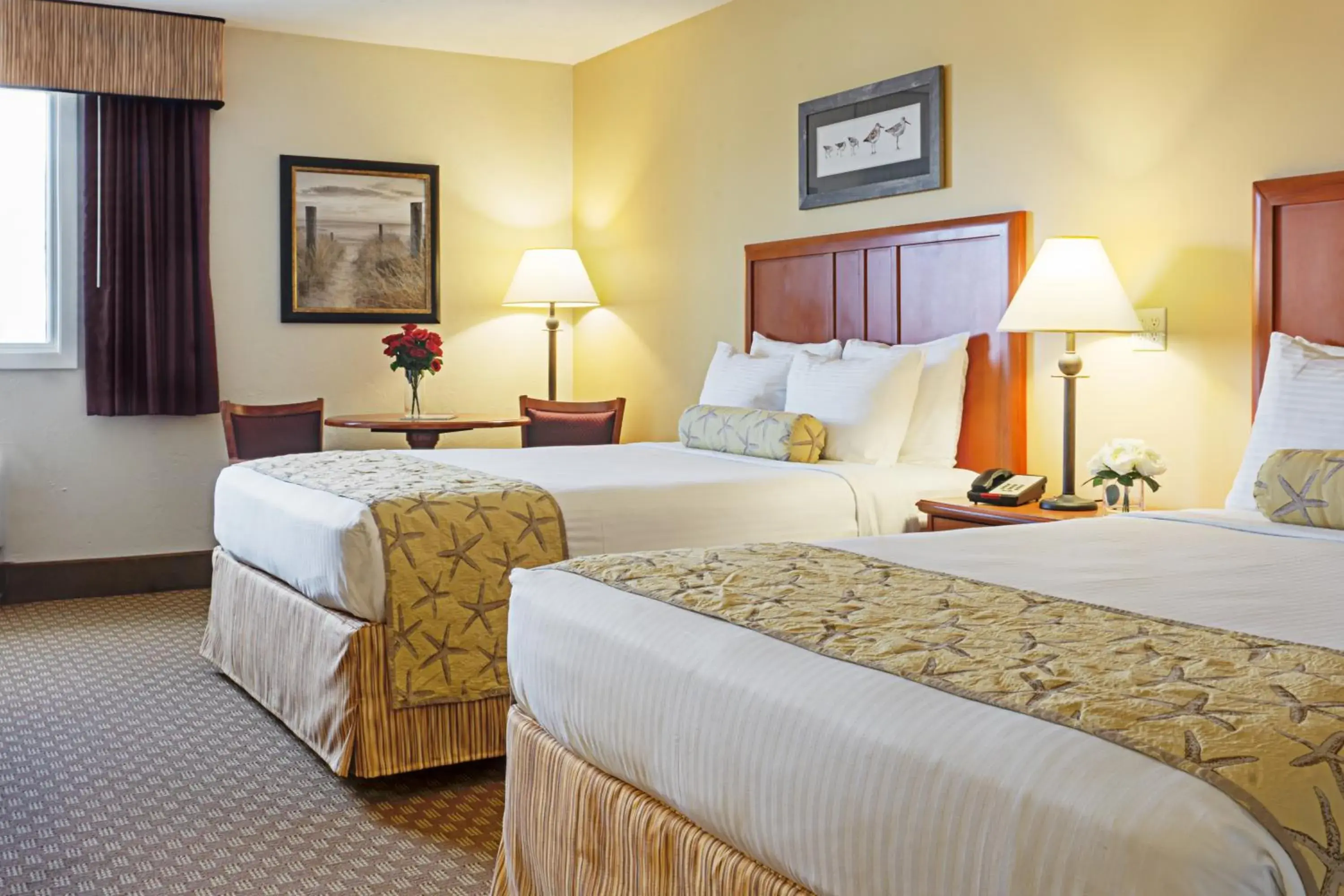 Queen Room - Disability Access in Bayside Resort Hotel Queen Room - Disability Access in Bayside Resort Hotel