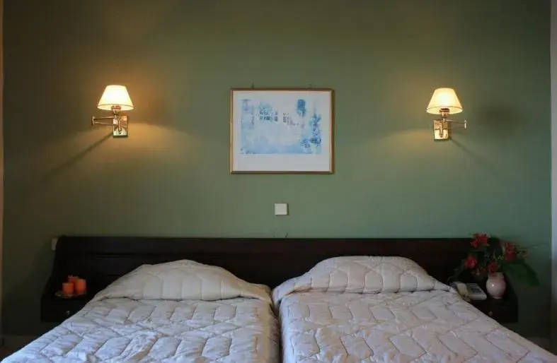 Single room with no balcony in Aegli Hotel Single room with no balcony in Aegli Hotel