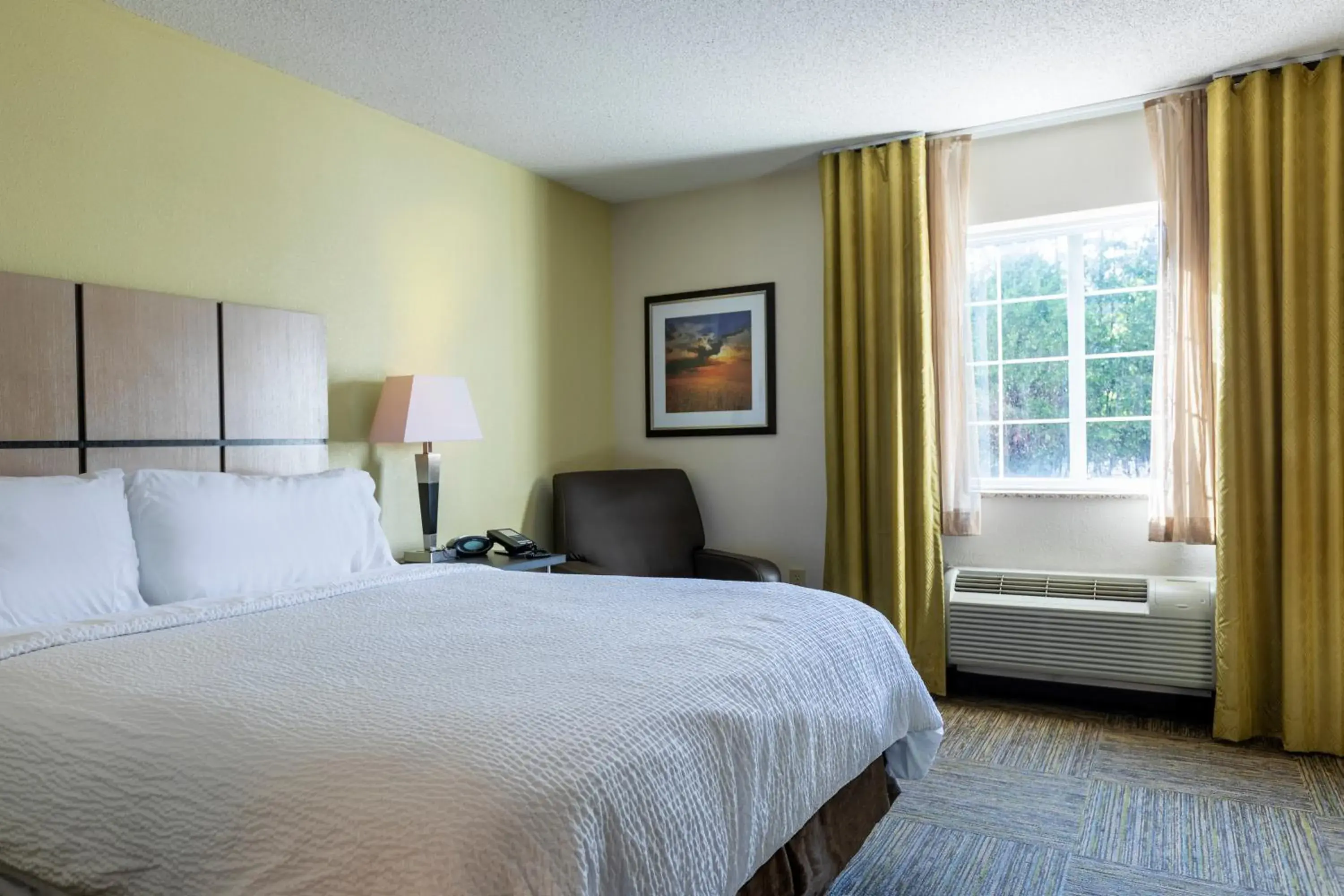 Studio Suite in Candlewood Suites Colonial Heights - Fort Lee by IHG Studio Suite in Candlewood Suites Colonial Heights - Fort Lee by IHG