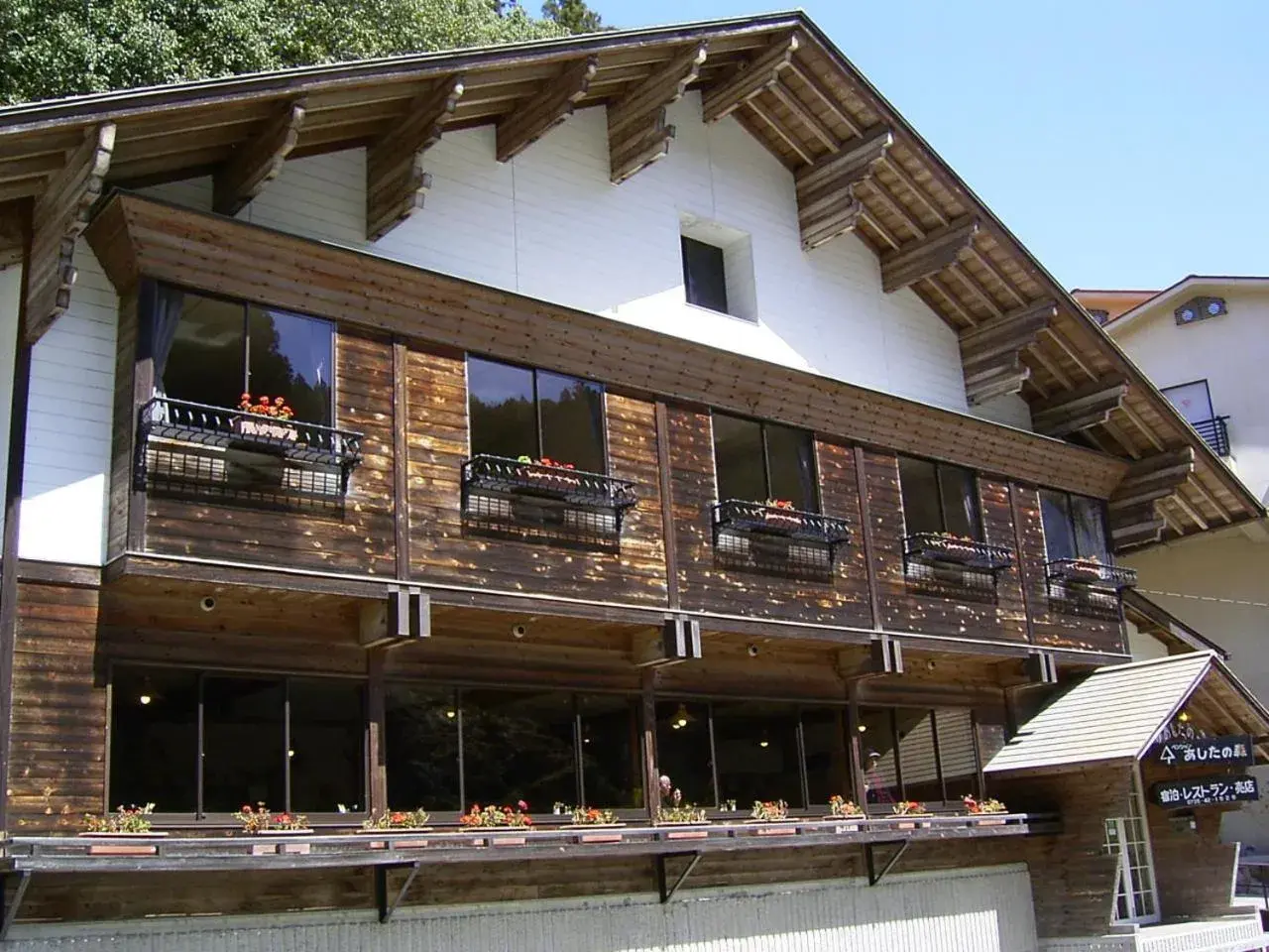 Ashita no Mori Ashita no Mori