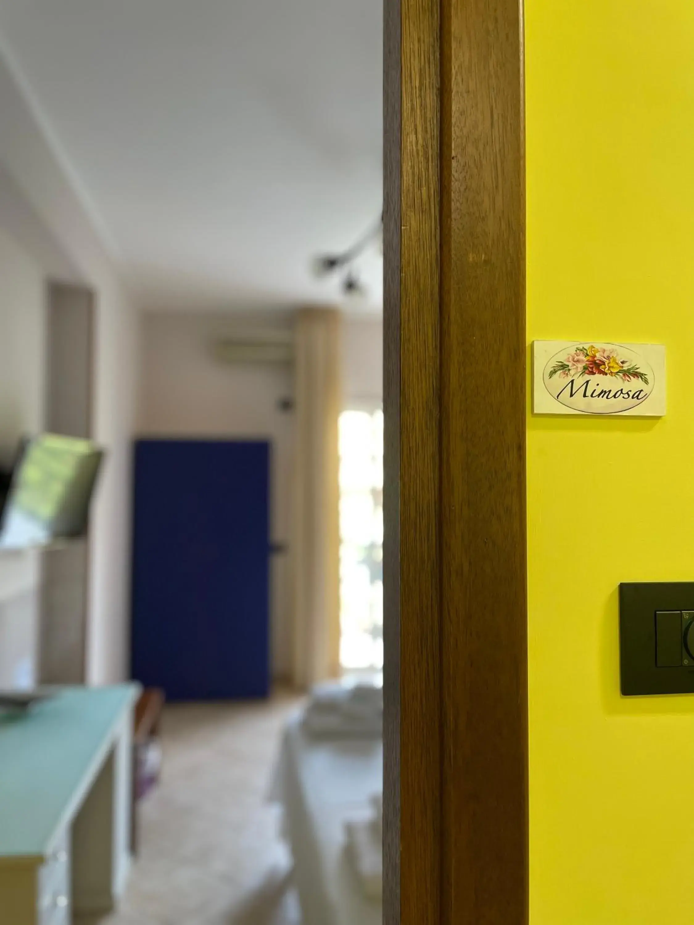 Double Room with Balcony - single occupancy in B&B Vistamare Double Room with Balcony - single occupancy in B&B Vistamare