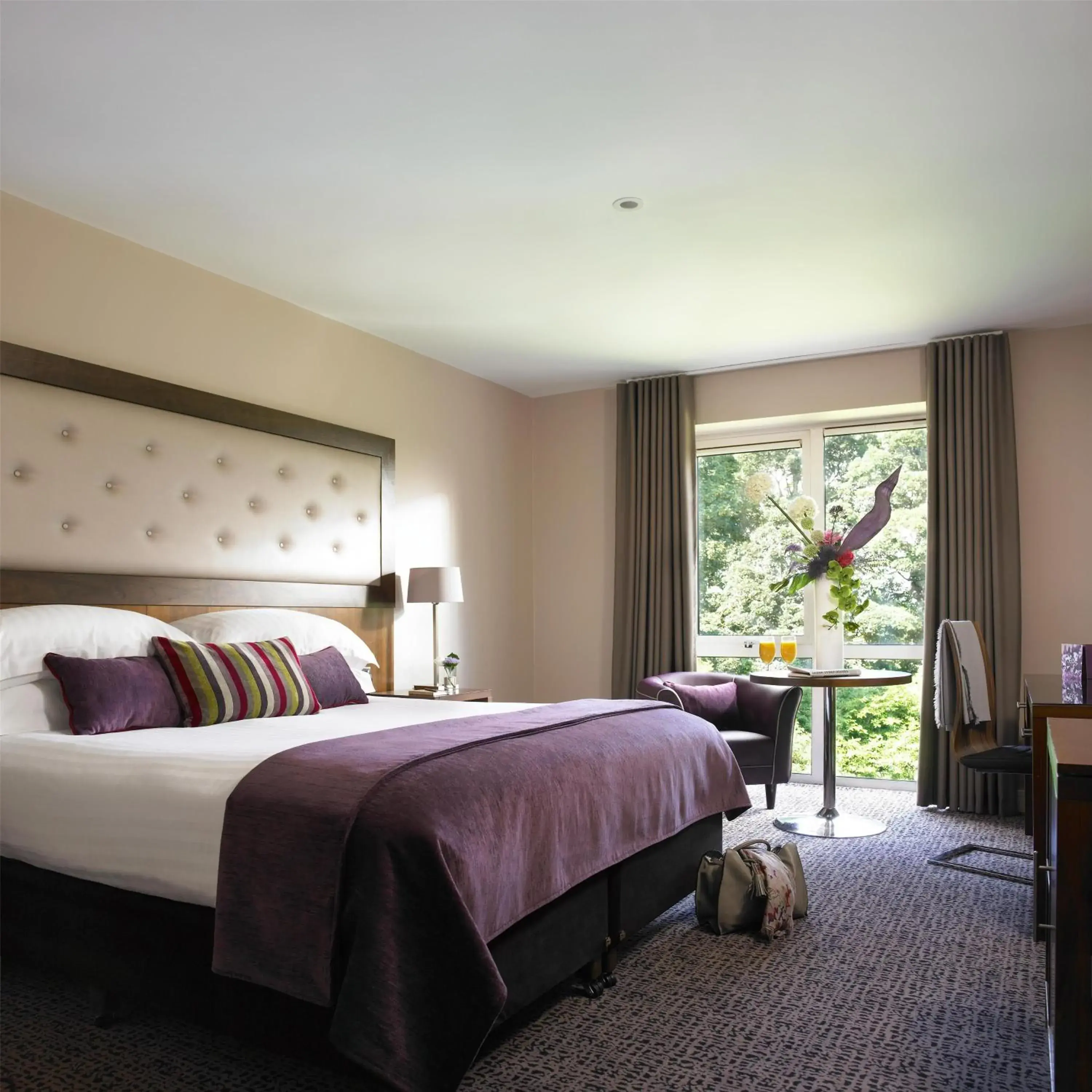 Deluxe Double Room in Dunboyne Castle Hotel & Spa Deluxe Double Room in Dunboyne Castle Hotel & Spa