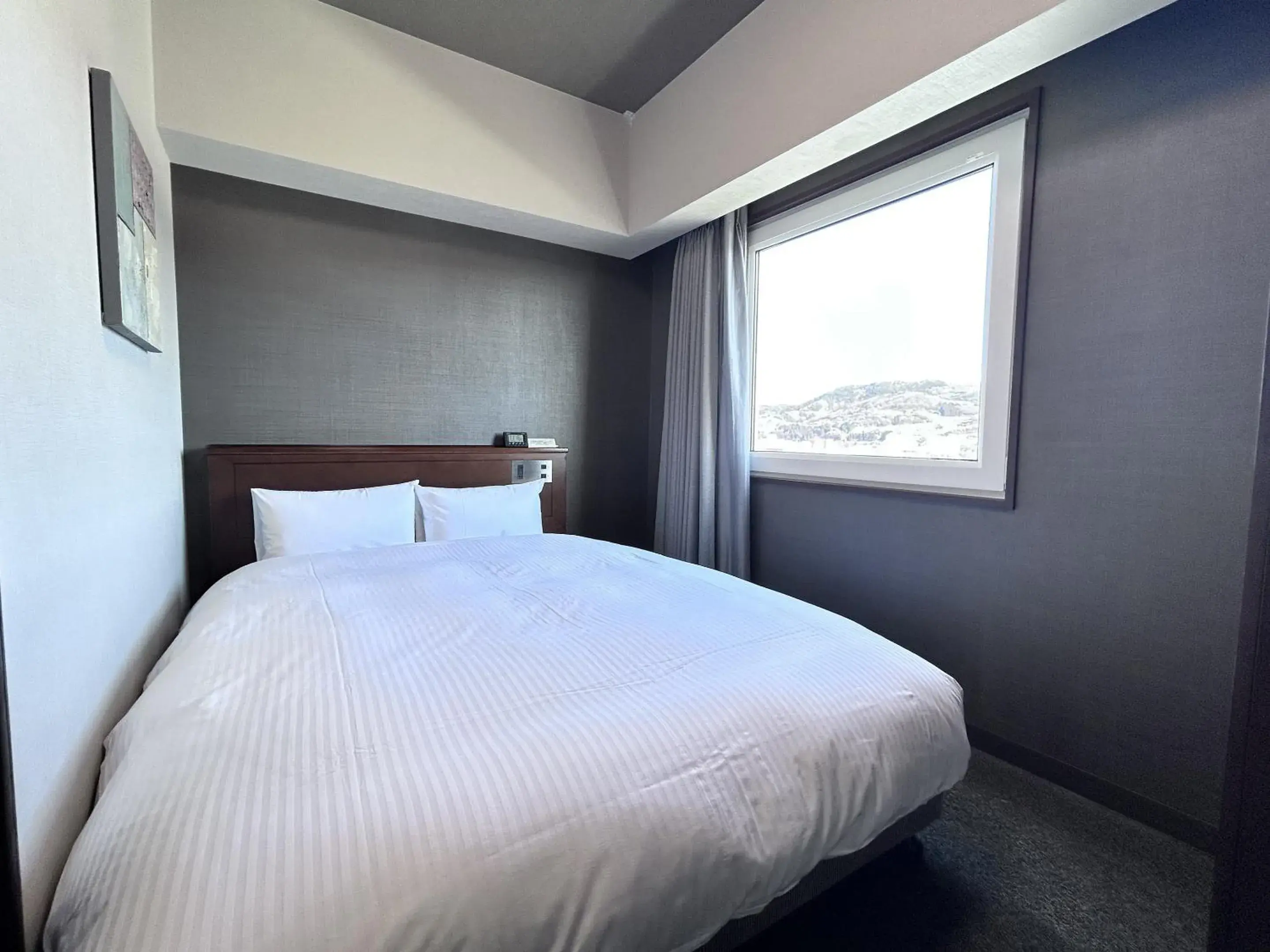 Double Room with Small Double Bed - single occupancy - Non-Smoking in Hotel Route-Inn Morioka Minami Inter Double Room with Small Double Bed - single occupancy - Non-Smoking in Hotel Route-Inn Morioka Minami Inter