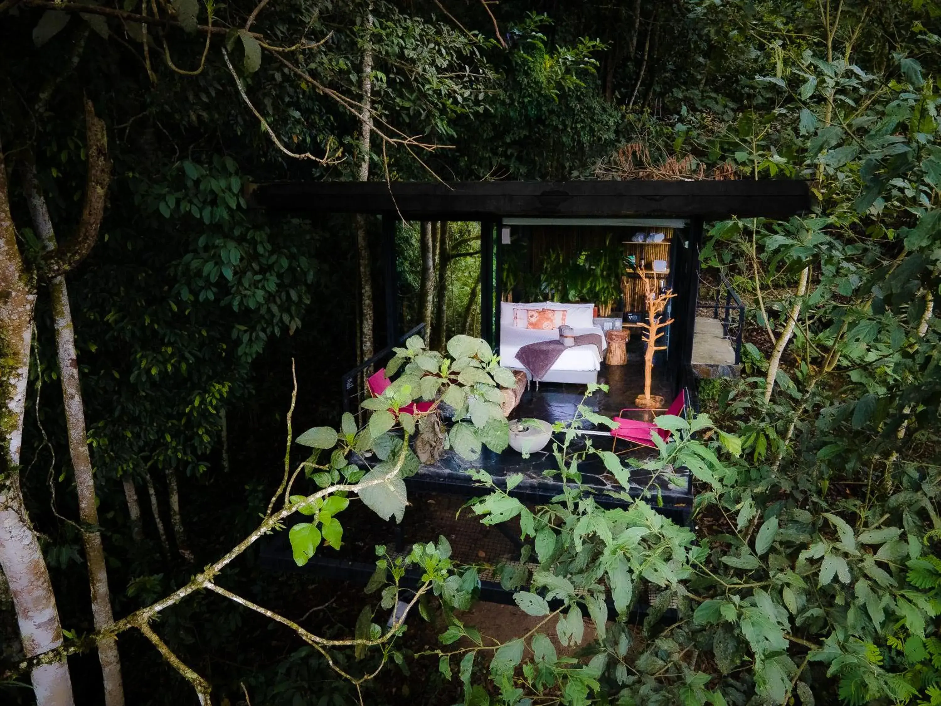 Nest King in Bio Habitat Hotel, AKEN SOUL Collection Nest King in Bio Habitat Hotel, AKEN SOUL Collection