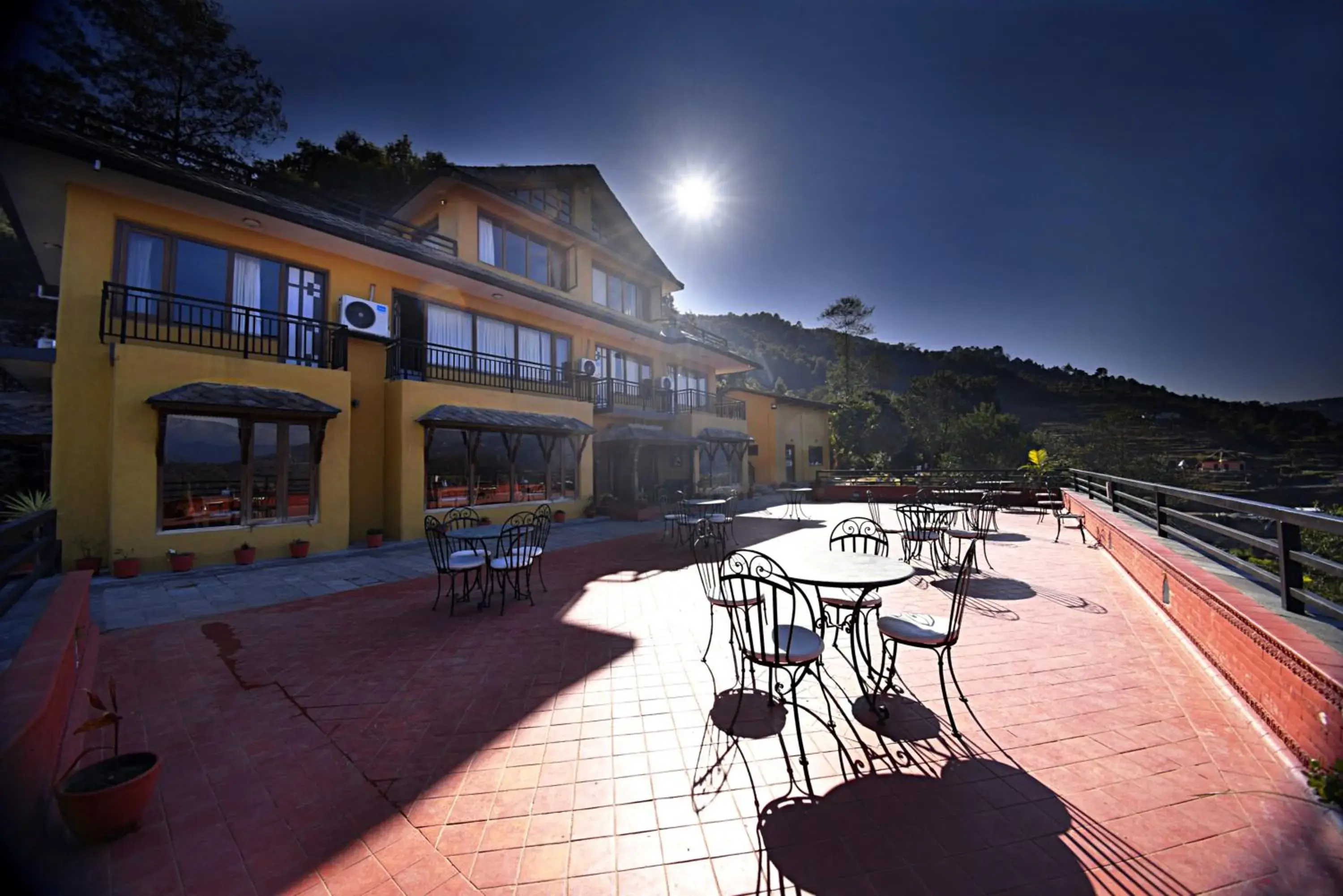 The Lapsi Tree The Lapsi Tree