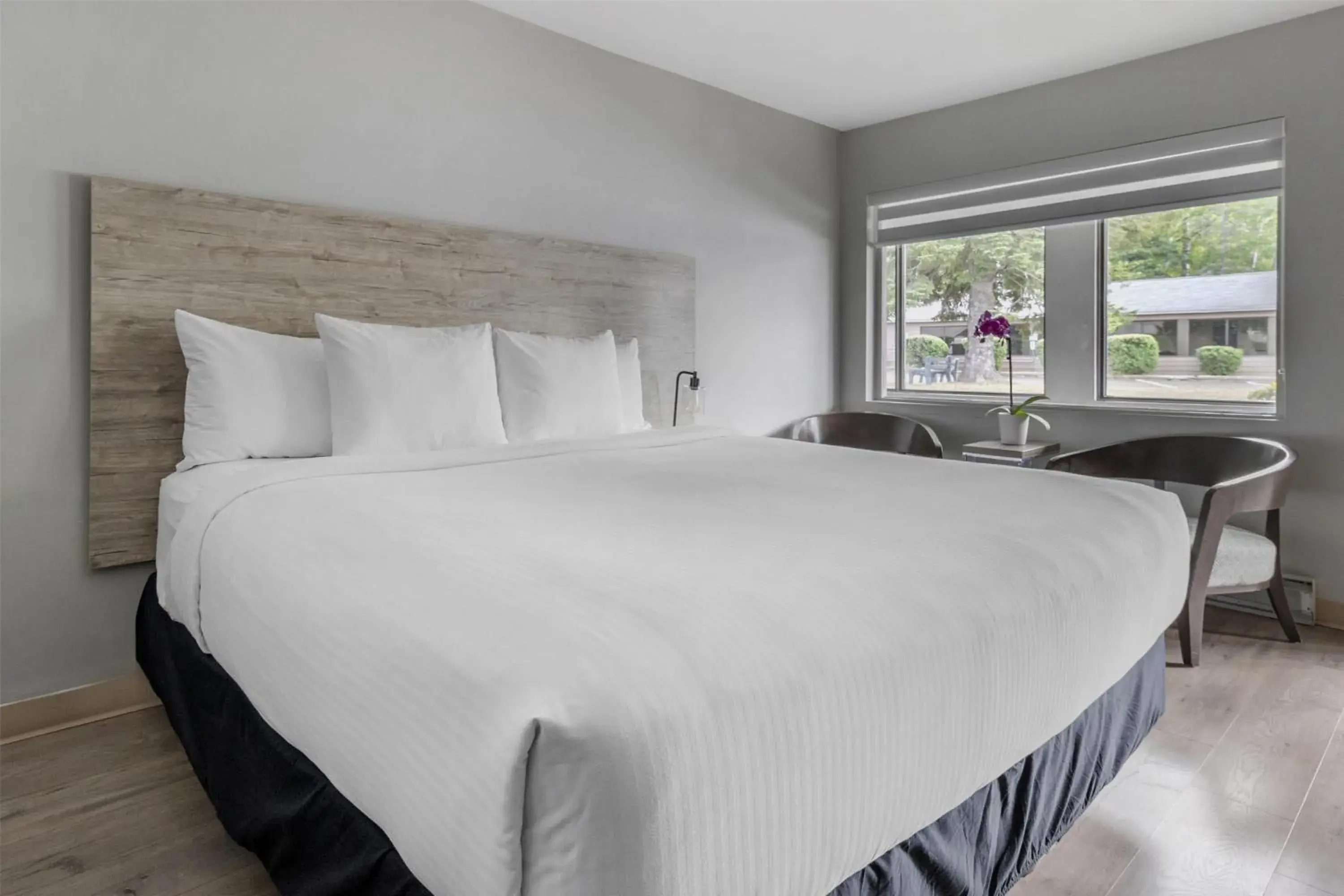 King Room in Dannys Suites, SureStay Collection by Best Western King Room in Dannys Suites, SureStay Collection by Best Western