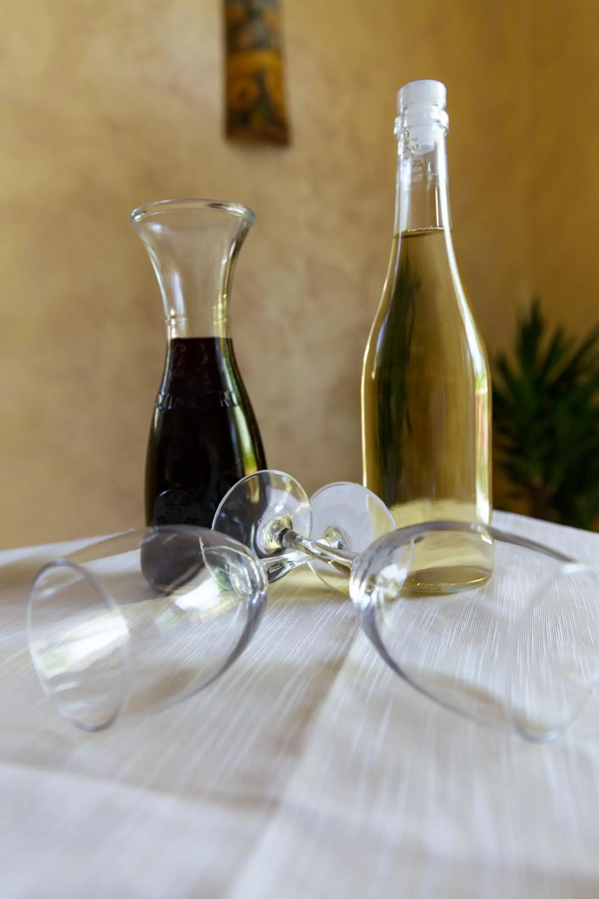 Haidi House Haidi House