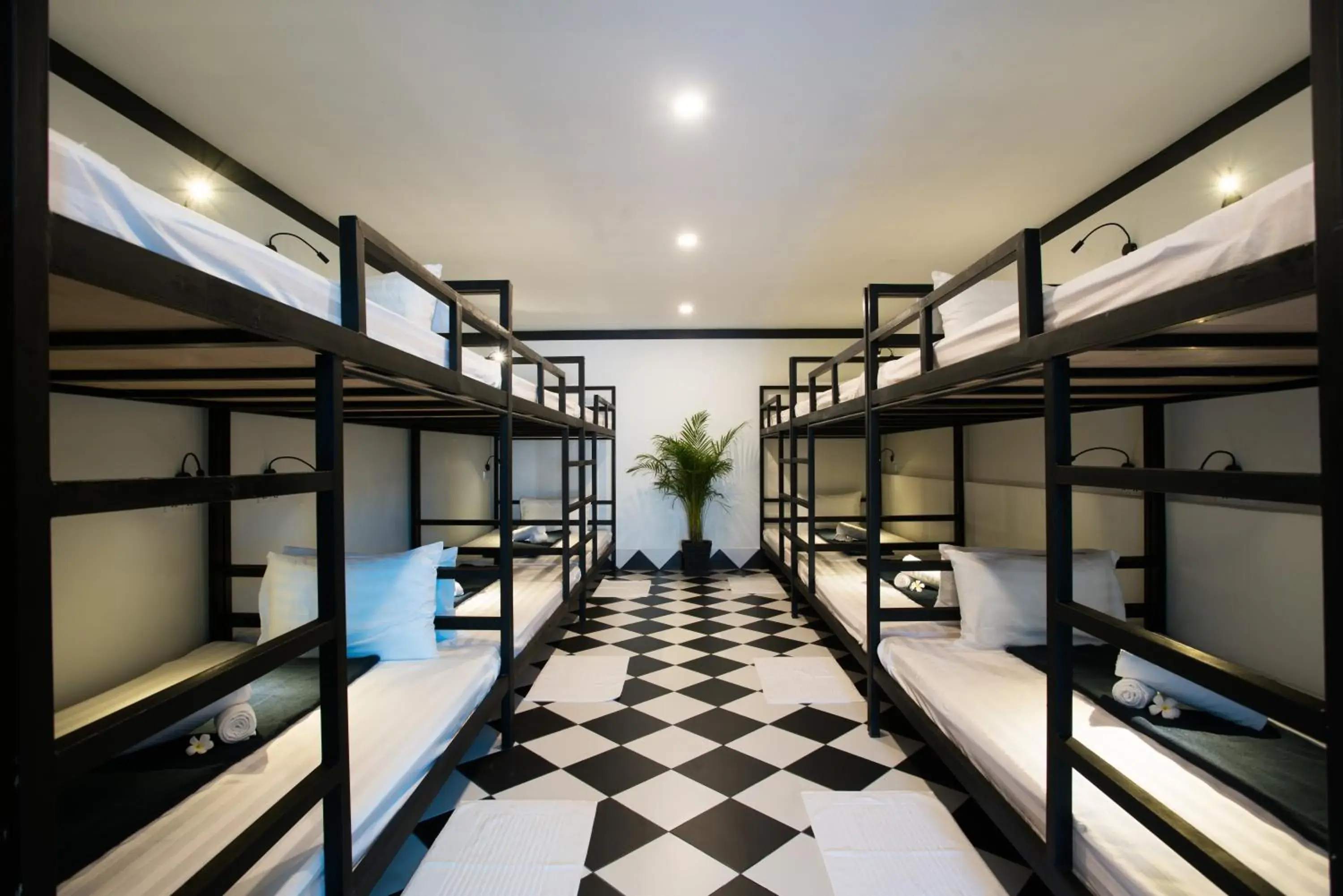 Bed in 8-Bed Mixed Dormitory Room in Noni Tree Hostel Bed in 8-Bed Mixed Dormitory Room in Noni Tree Hostel