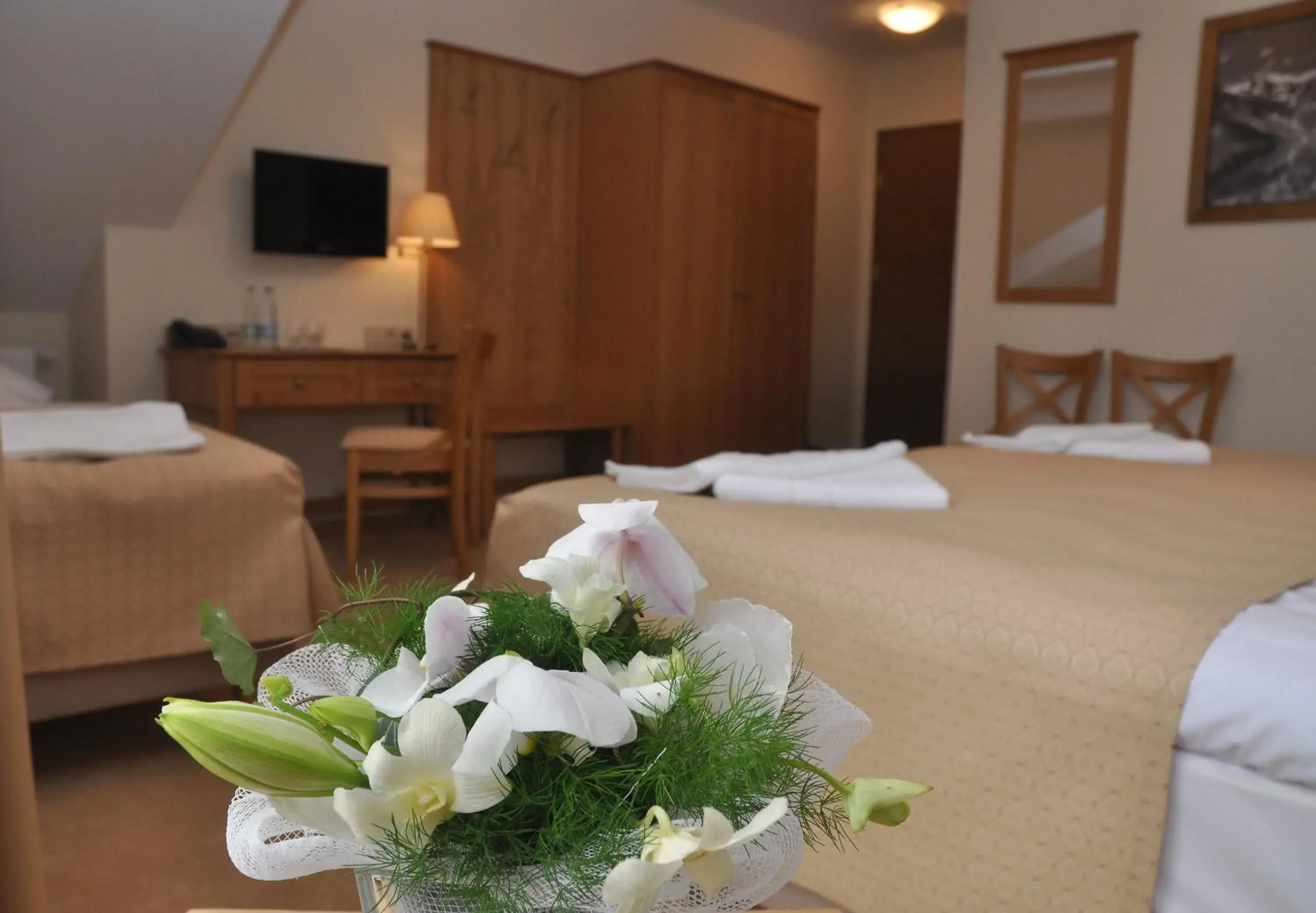 Premium Twin Room in Hotel Alpejski Premium Twin Room in Hotel Alpejski