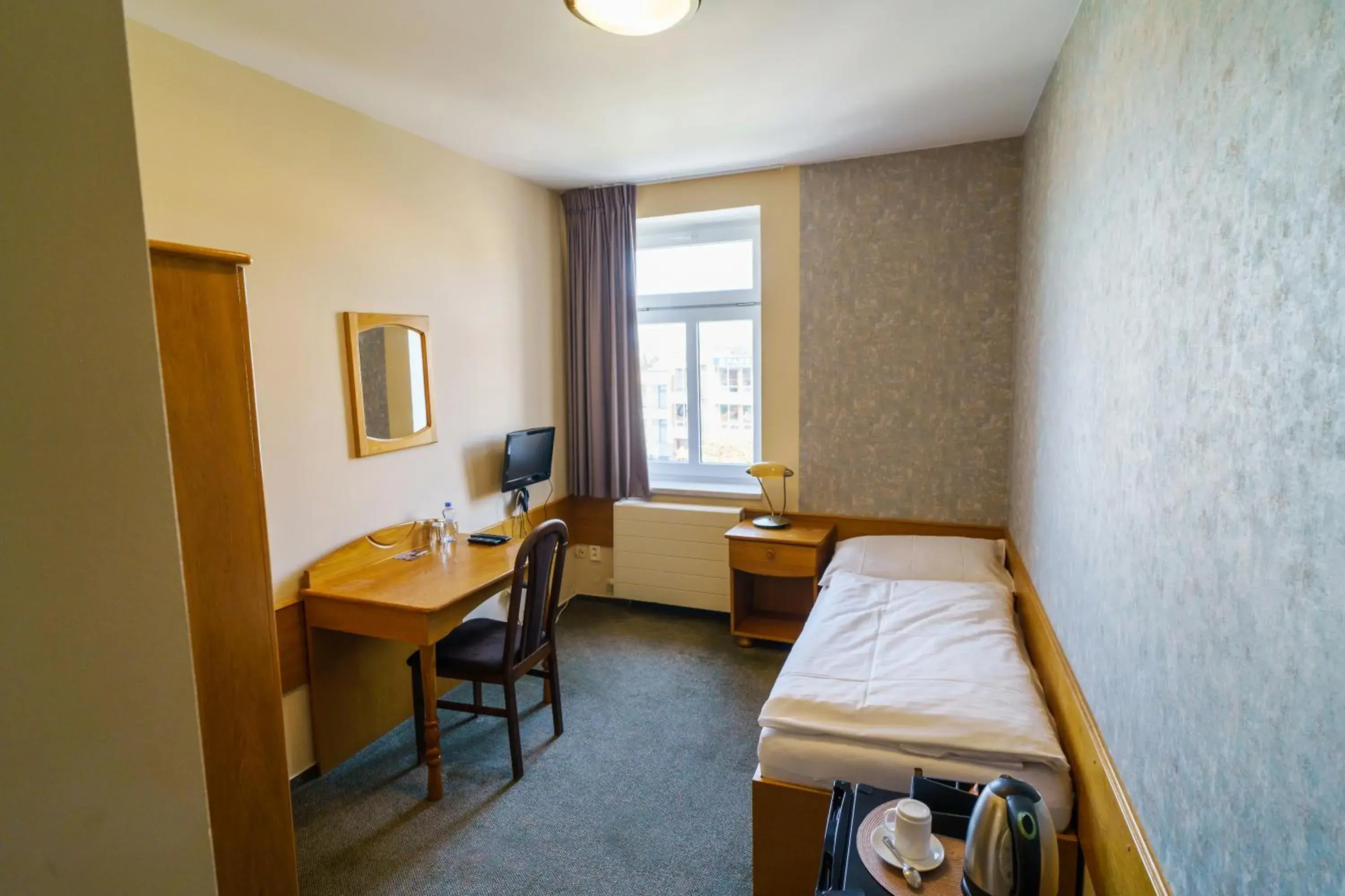 Standard Single Room with Shower - single occupancy in Hotel U Labutě Standard Single Room with Shower - single occupancy in Hotel U Labutě