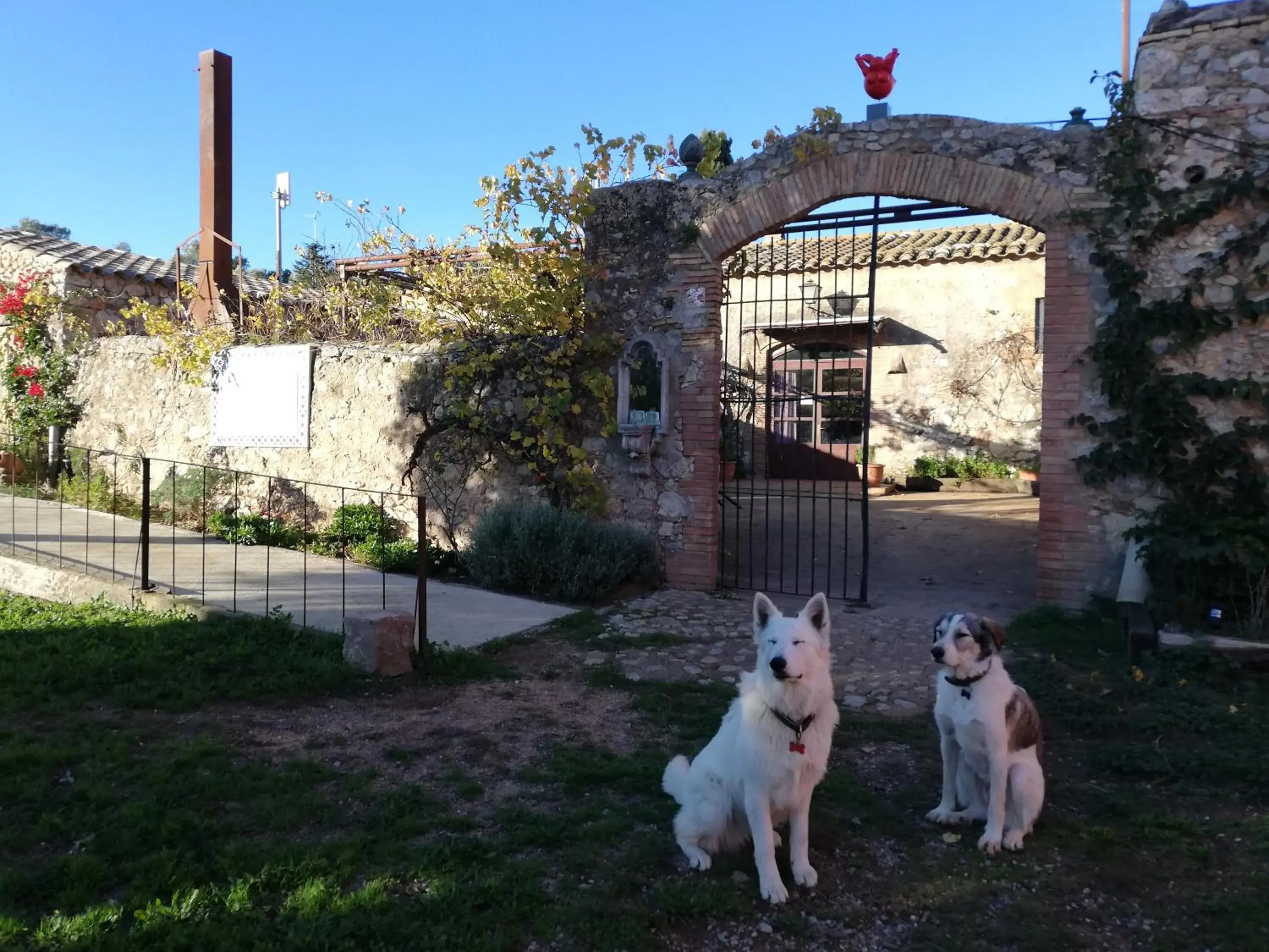 Mas Del Llop Blanc - Dog friendly Hostal Rural - B&B Mas Del Llop Blanc - Dog friendly Hostal Rural - B&B