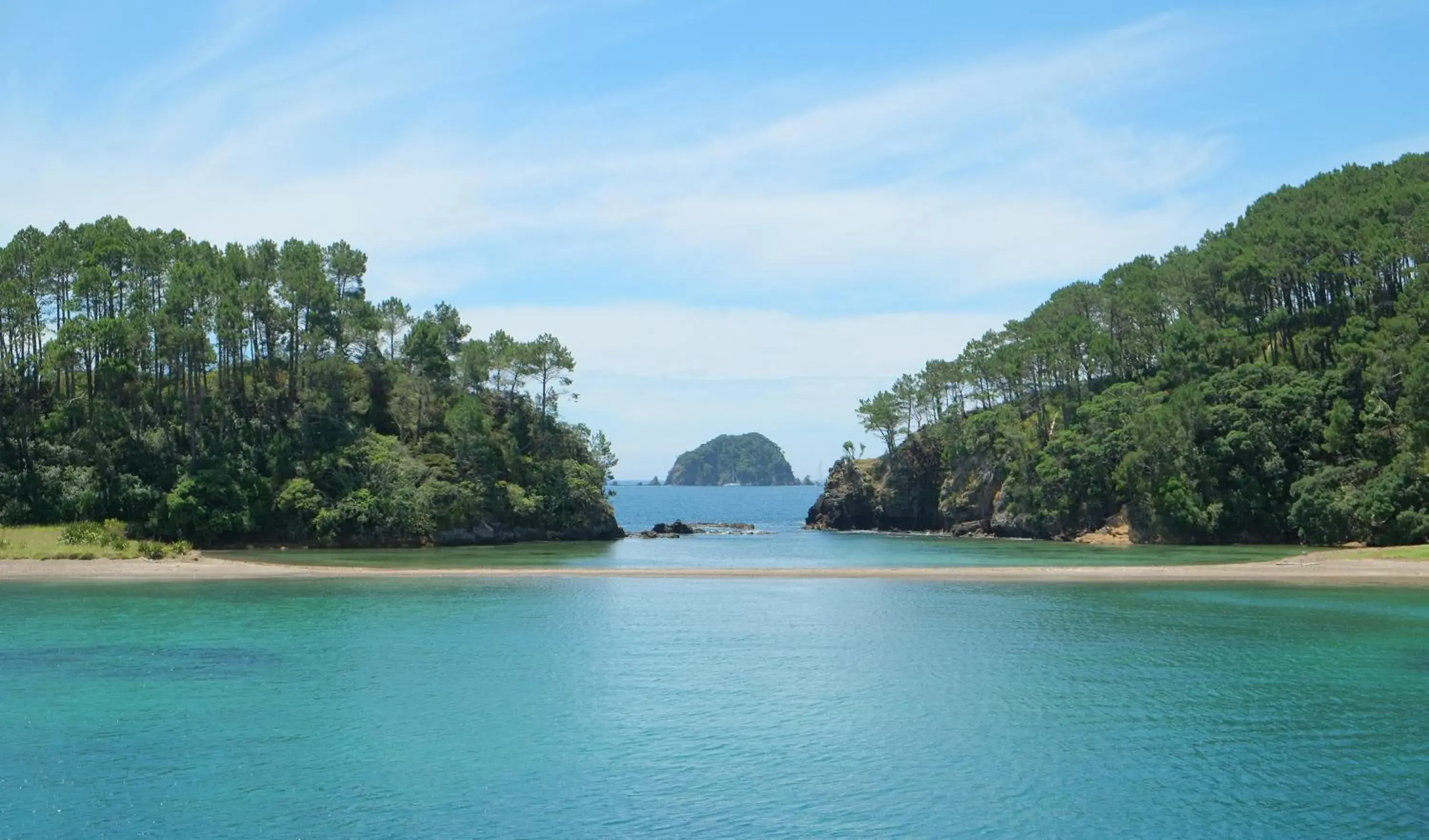 King Room with Garden View in Rural Palms King Room with Garden View in Rural Palms