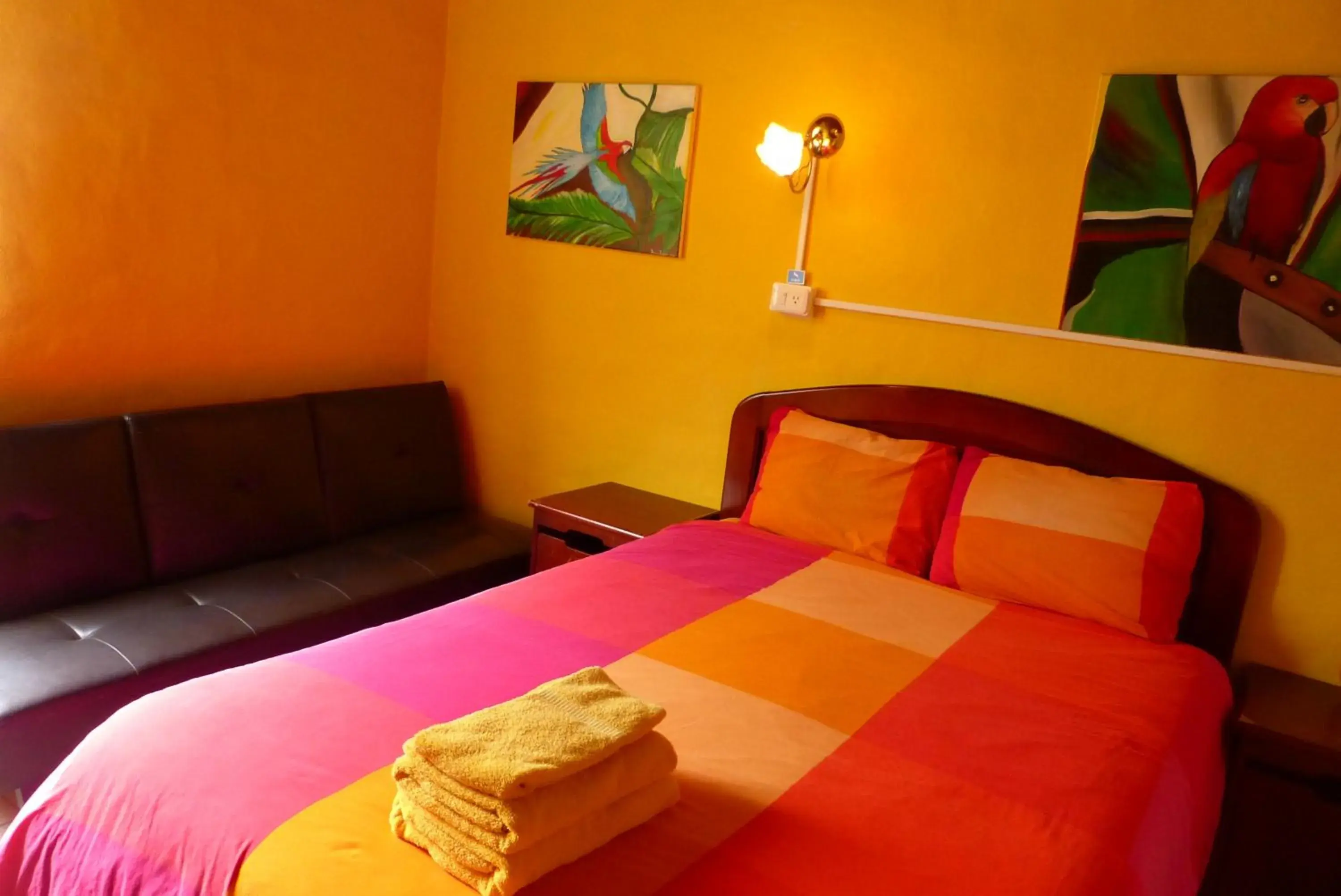 Double Room - single occupancy in La Casa Amarilla Double Room - single occupancy in La Casa Amarilla