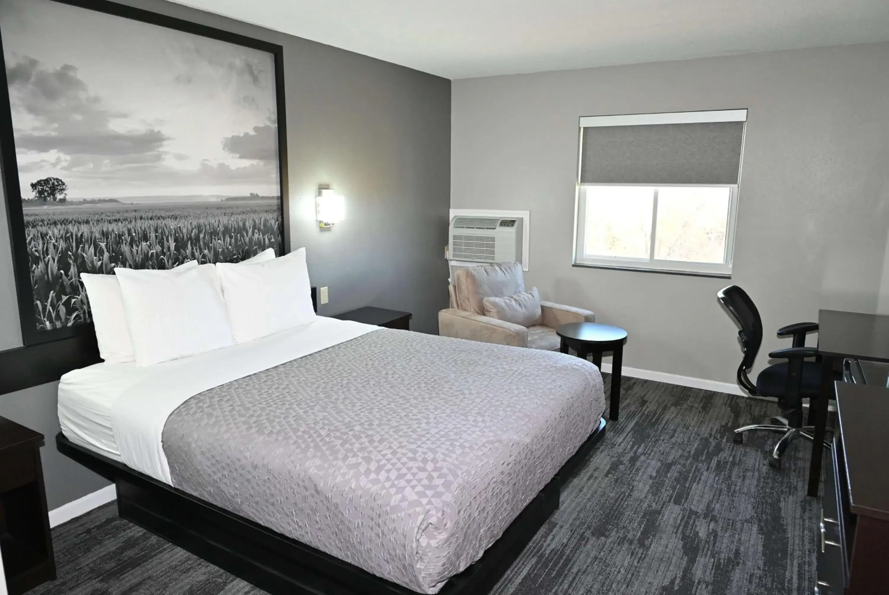 Queen Room - Non-Smoking in Super 8 by Wyndham Higginsville Queen Room - Non-Smoking in Super 8 by Wyndham Higginsville