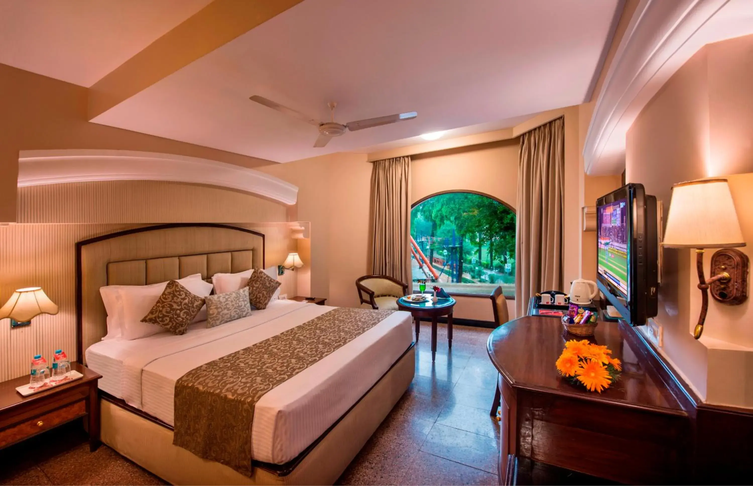 Executive King or Double Room - single occupancy in Lords Inn Vadodara Executive King or Double Room - single occupancy in Lords Inn Vadodara