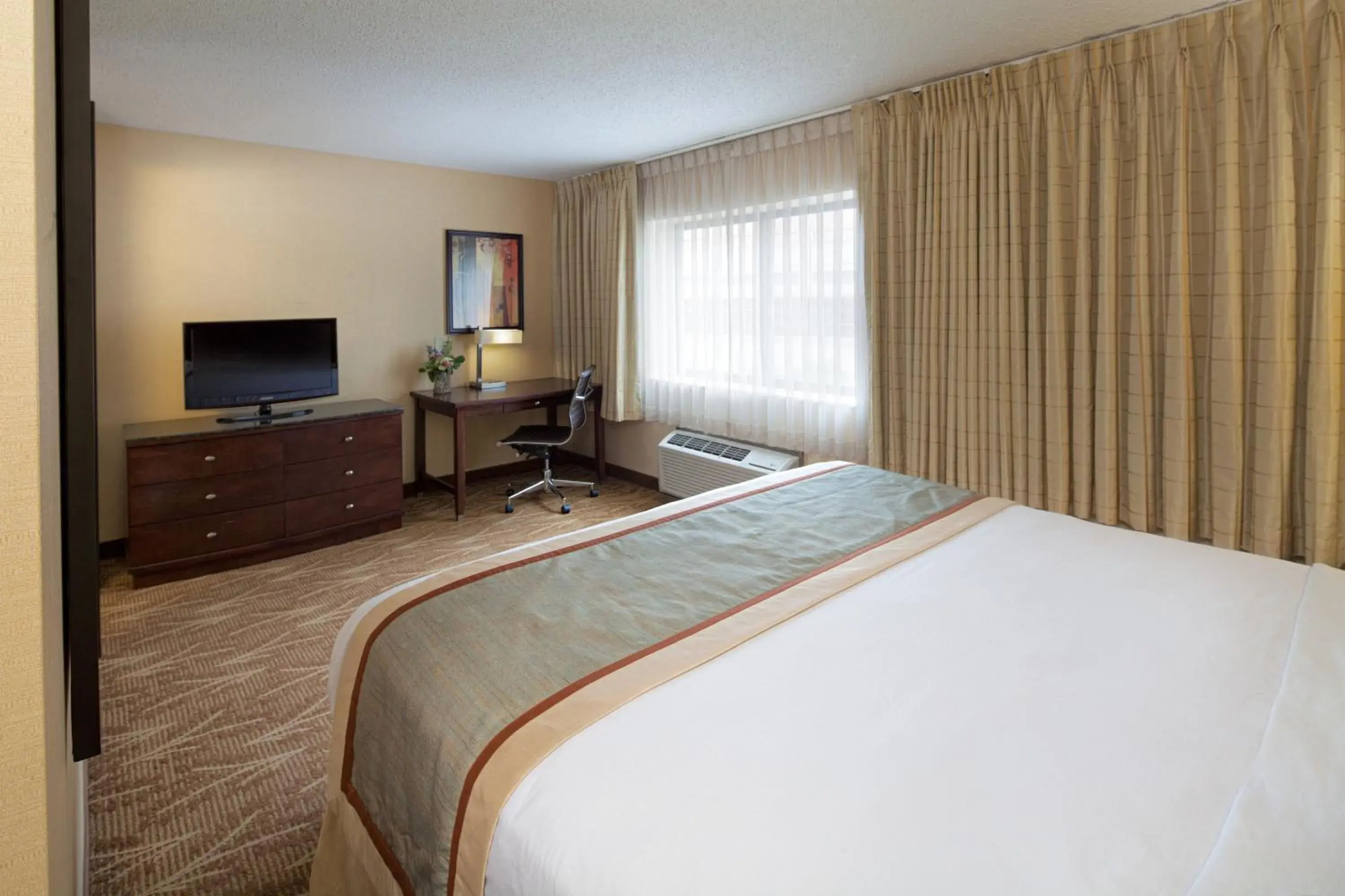 King Room with Roll-In Shower - Disability Access in Kahler Inn and Suites King Room with Roll-In Shower - Disability Access in Kahler Inn and Suites