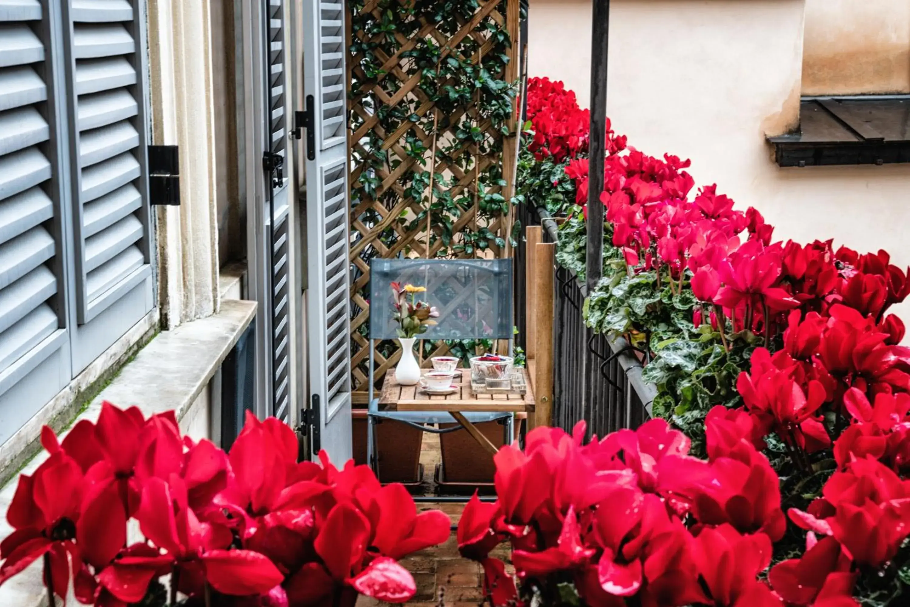 Standard Double Room in Navona Grand Suite Standard Double Room in Navona Grand Suite