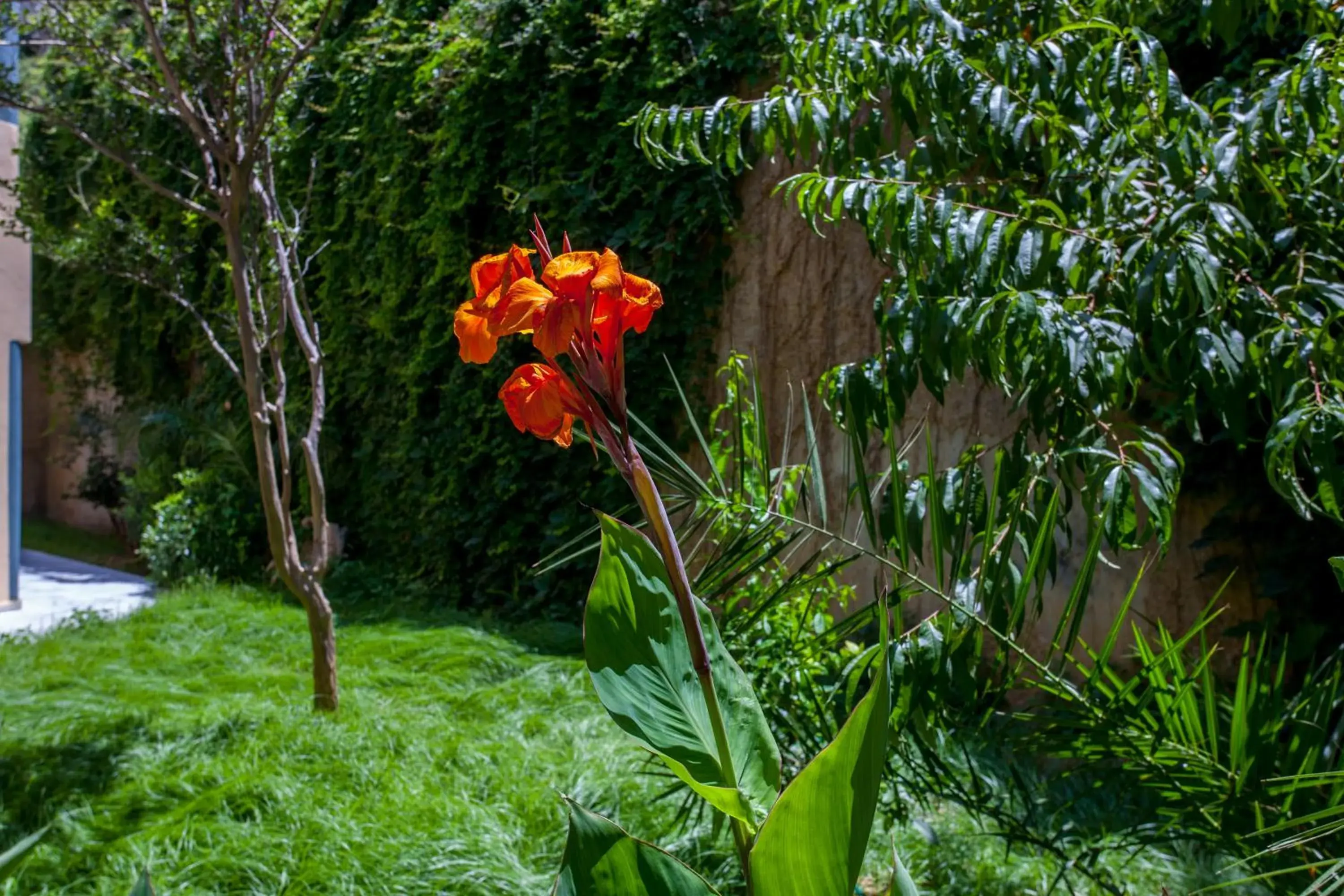 Akasti Hotel Akasti Hotel