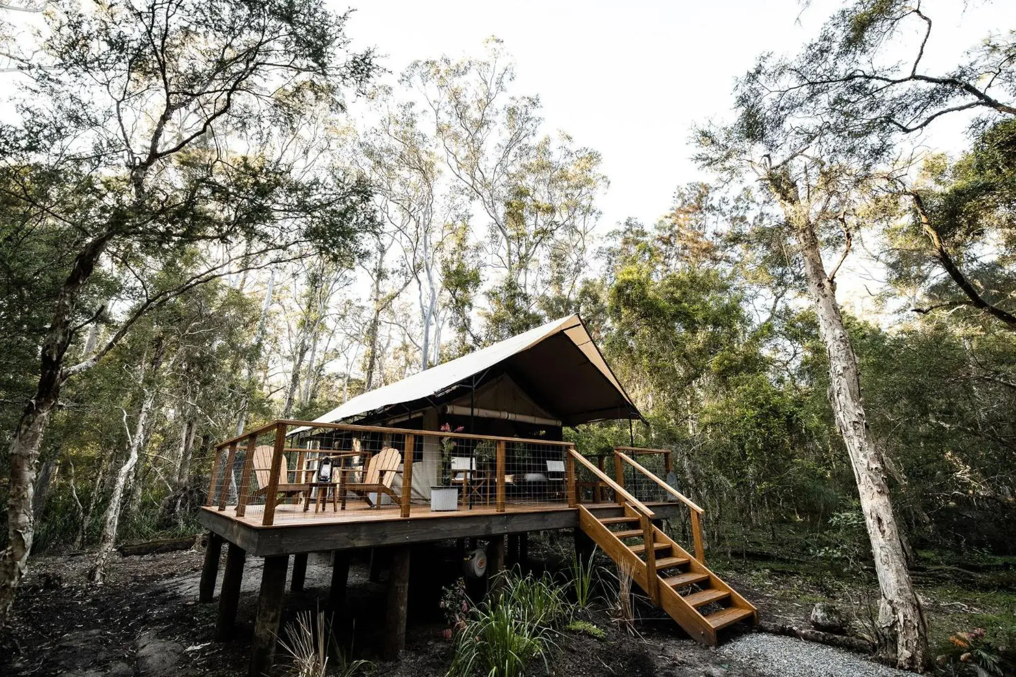 Deluxe Quadruple Room - single occupancy in Paperbark Camp Deluxe Quadruple Room - single occupancy in Paperbark Camp