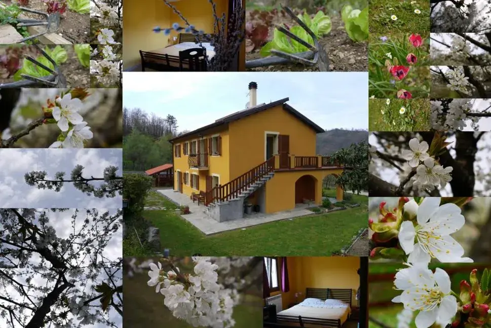 La Bordigona La Bordigona