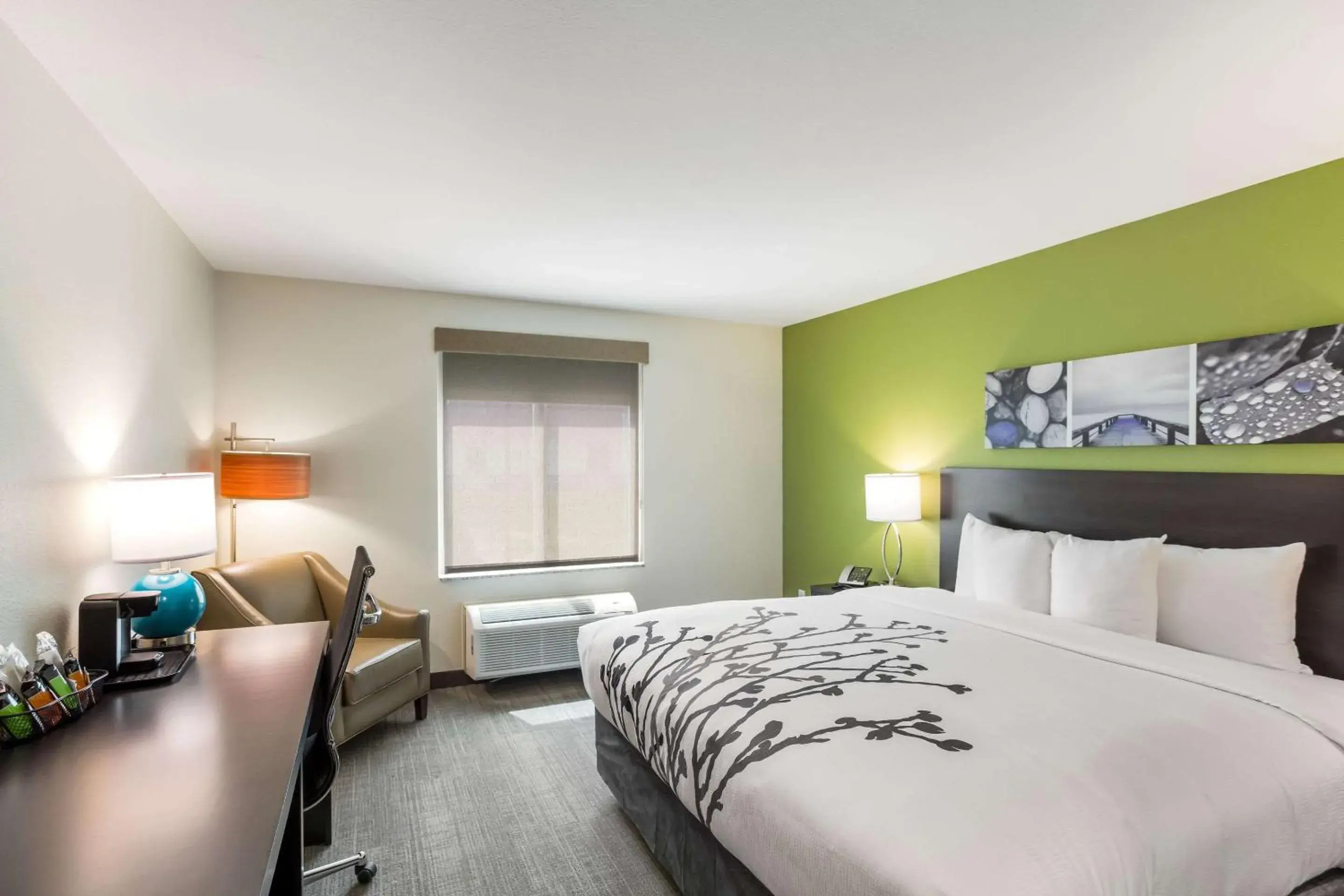 King Room - Non-Smoking in Sleep Inn Logan Ohio-Hocking Hills King Room - Non-Smoking in Sleep Inn Logan Ohio-Hocking Hills