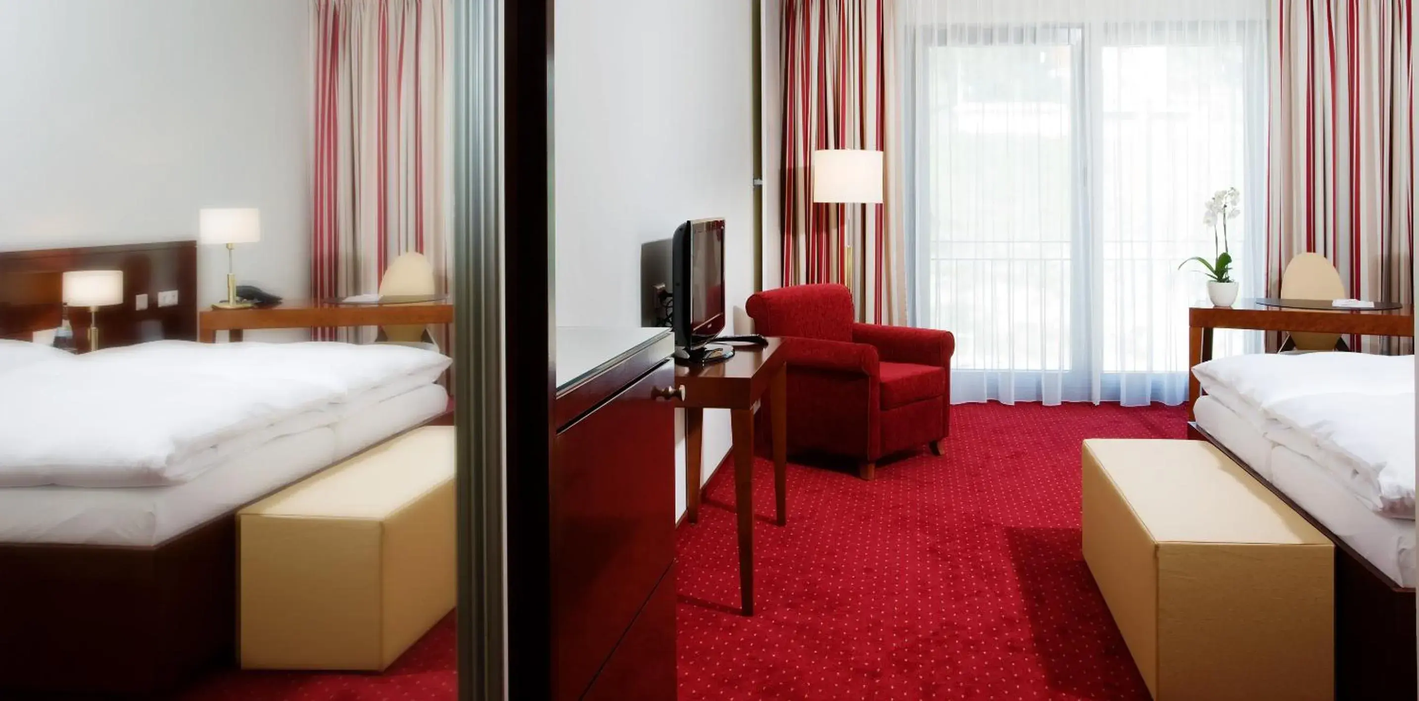 Large Single Room - single occupancy in Hotel Rose Large Single Room - single occupancy in Hotel Rose