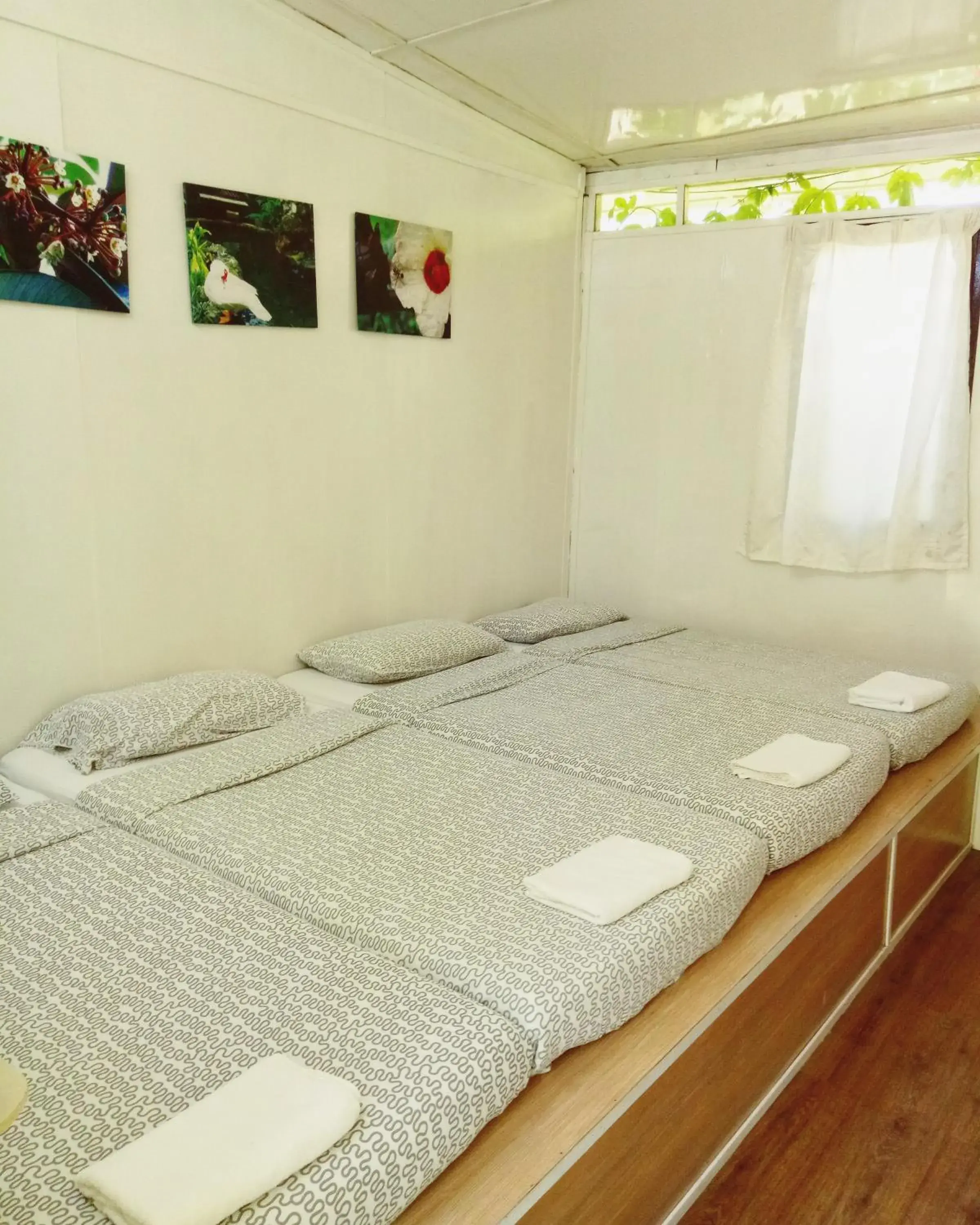 Quadruple Room with Shared Bathroom in Moonriver Lodge Quadruple Room with Shared Bathroom in Moonriver Lodge