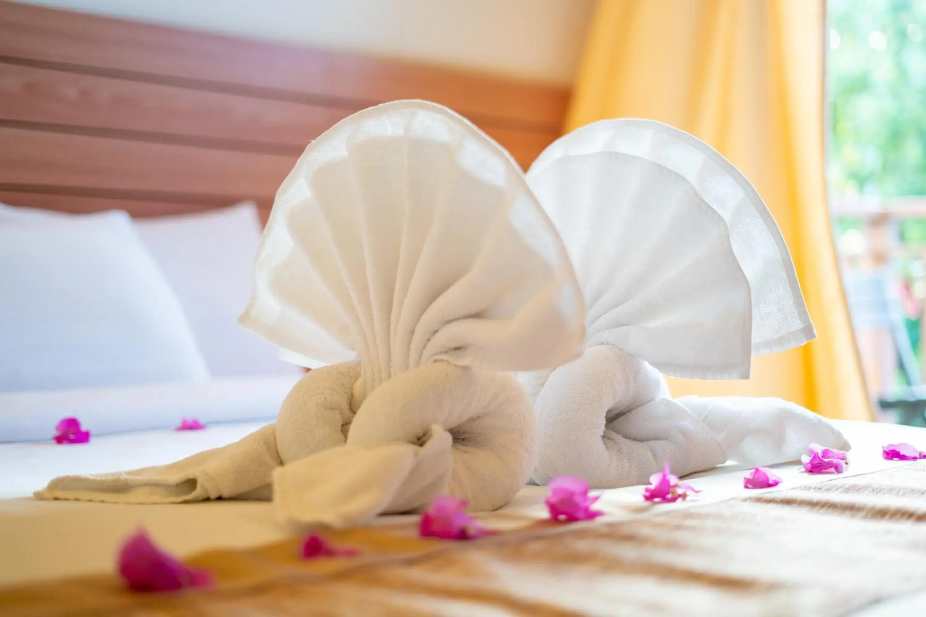 Comfort Double Room in Nala Veli Beach & Spa Comfort Double Room in Nala Veli Beach & Spa