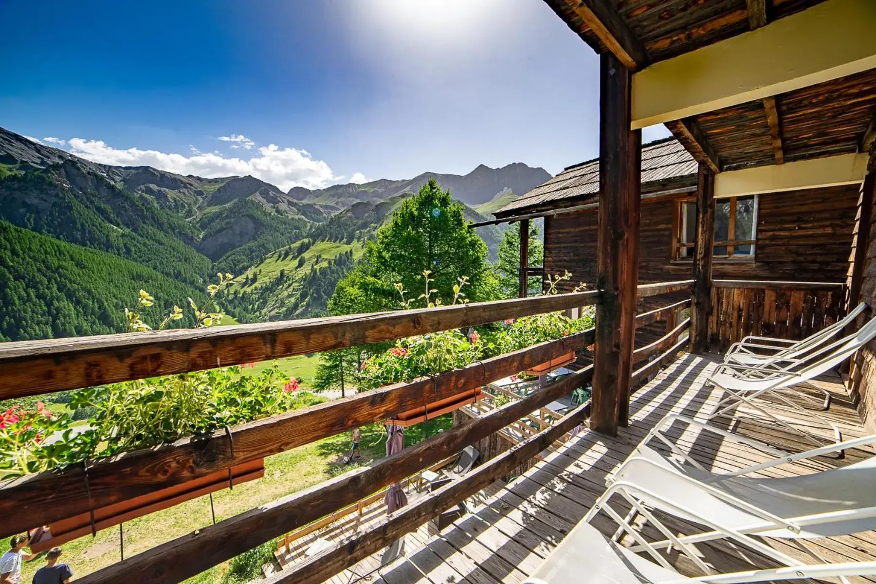 Le Grand Tetras Le Grand Tetras