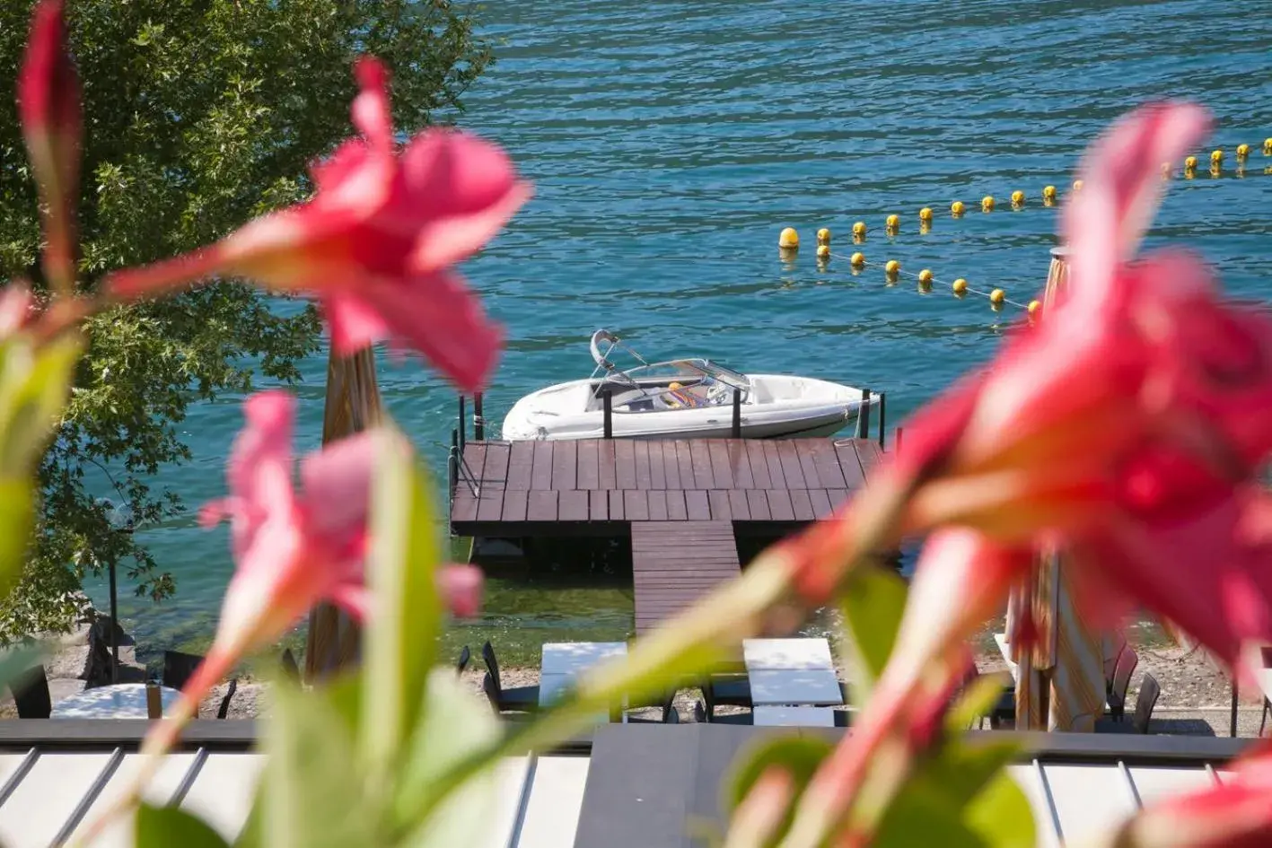 Albergo Ristorante La Palma Albergo Ristorante La Palma