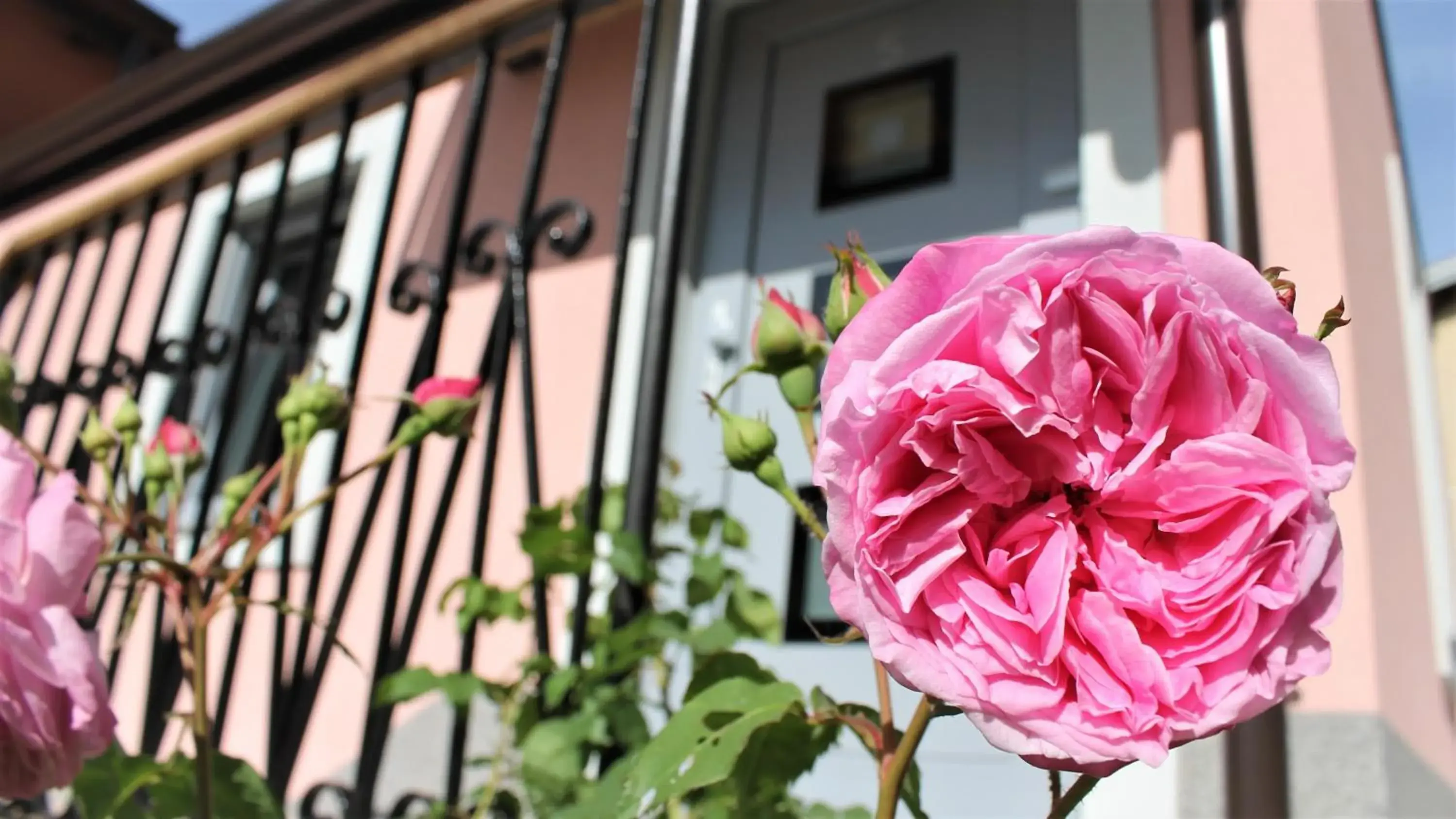 Studio in Vila Burbonka Studio in Vila Burbonka