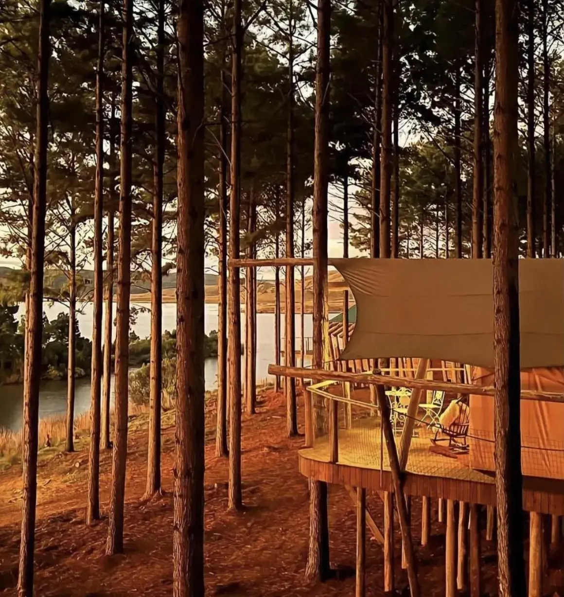 Master Glamping Tent in Tedesco Eco Park Master Glamping Tent in Tedesco Eco Park