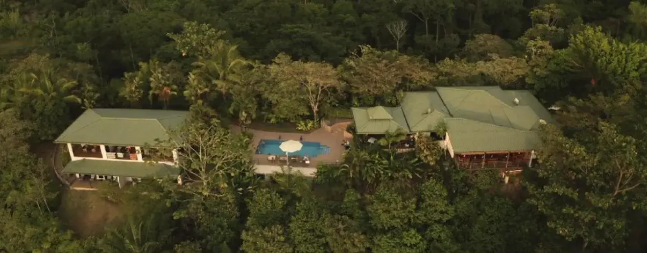 Alma de Ojochal Alma de Ojochal