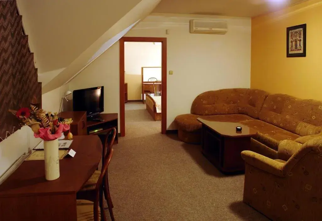 Suite - single occupancy in Hotel Pod Hradom Suite - single occupancy in Hotel Pod Hradom