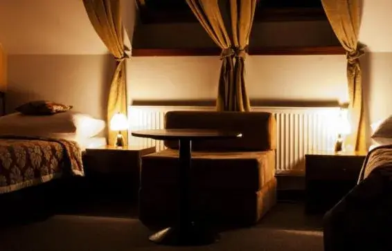 Double Room - single occupancy in Hotel Pod Hradom Double Room - single occupancy in Hotel Pod Hradom