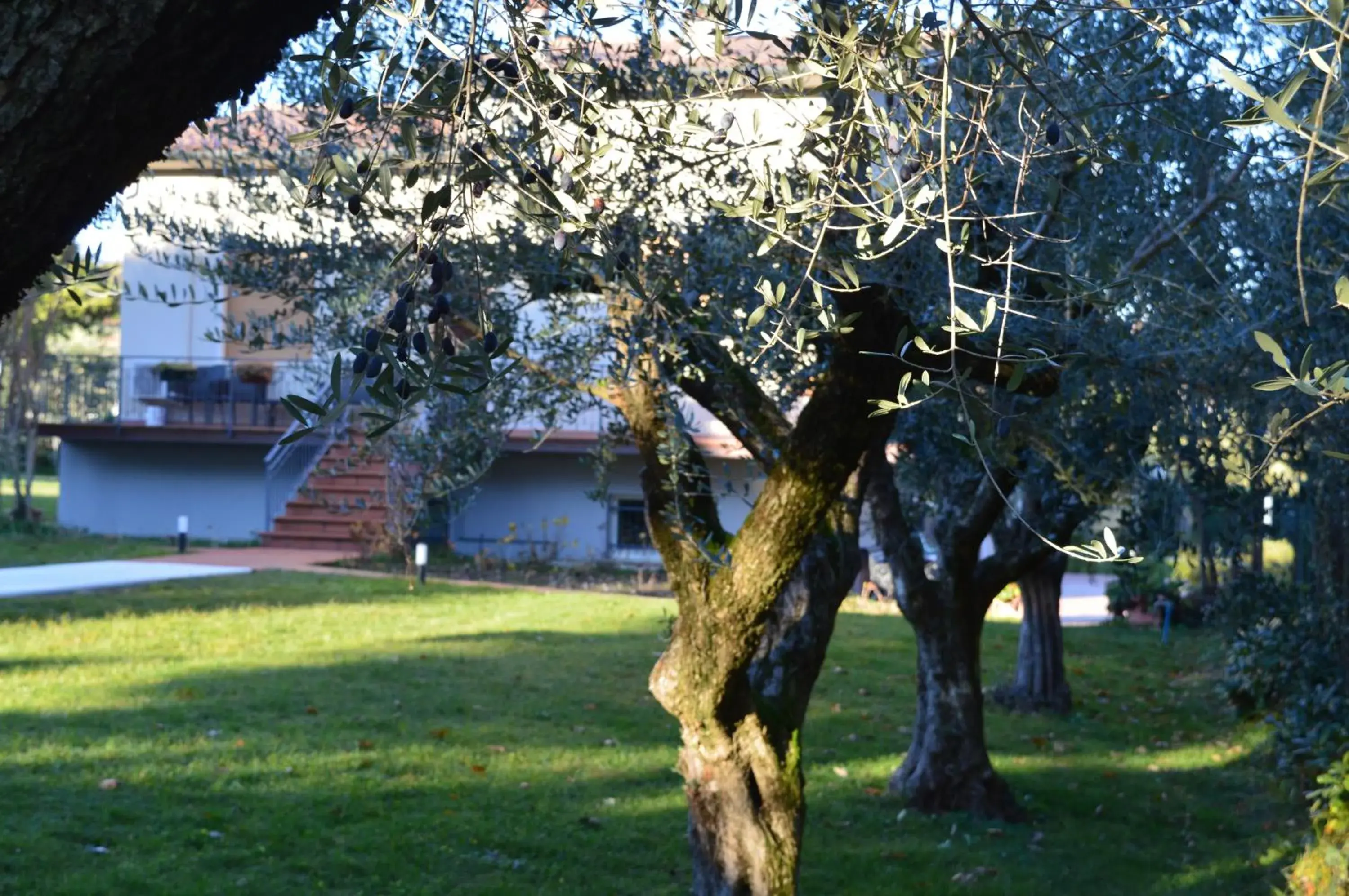 Deluxe Room (2 Adults + 1 Child) in The Swan B&B Deluxe Room (2 Adults + 1 Child) in The Swan B&B