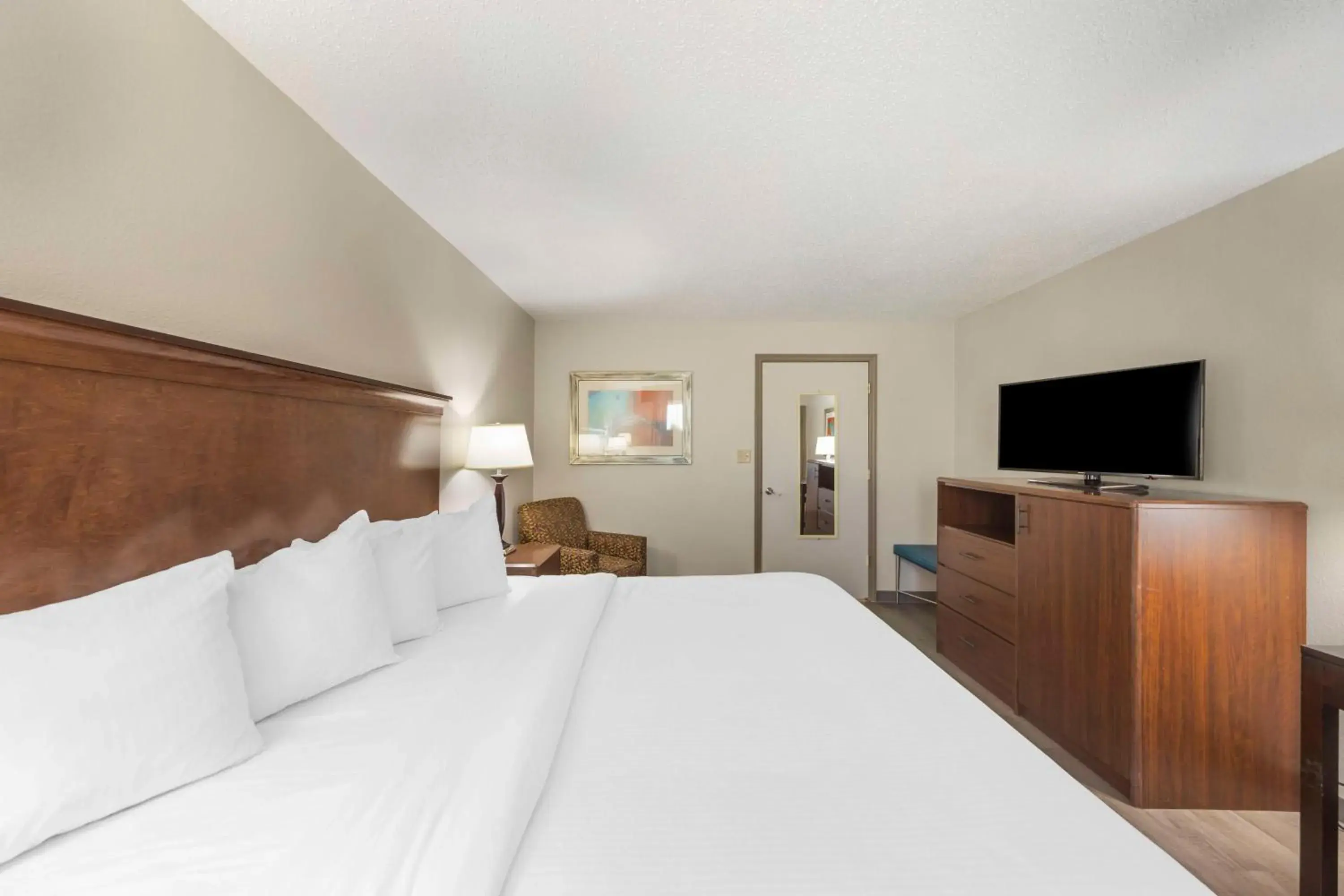 King Room - Non-Smoking in Best Western Athens Inn King Room - Non-Smoking in Best Western Athens Inn