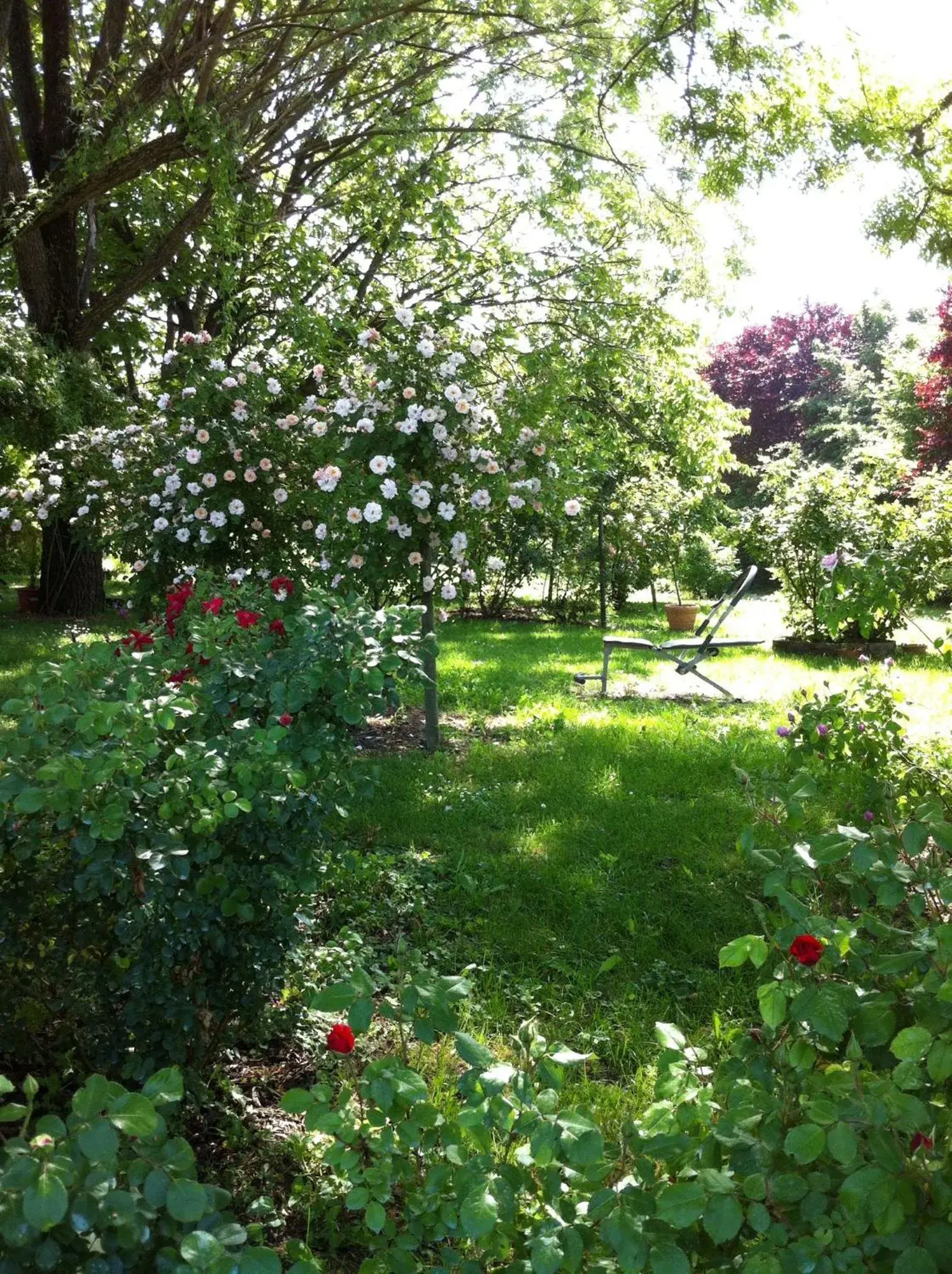 Casa a Soliera Casa a Soliera