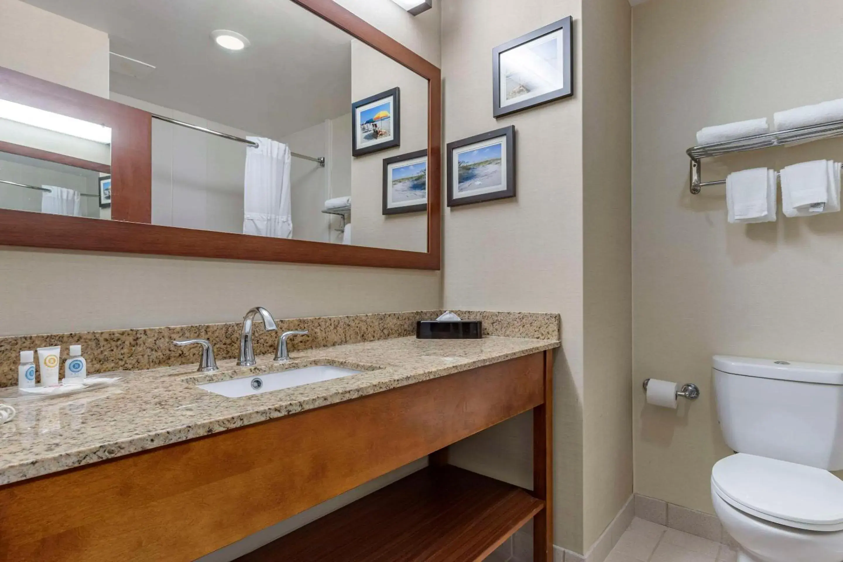 Standard King Room - Non-Smoking in Comfort Suites Myrtle Beach Central Standard King Room - Non-Smoking in Comfort Suites Myrtle Beach Central