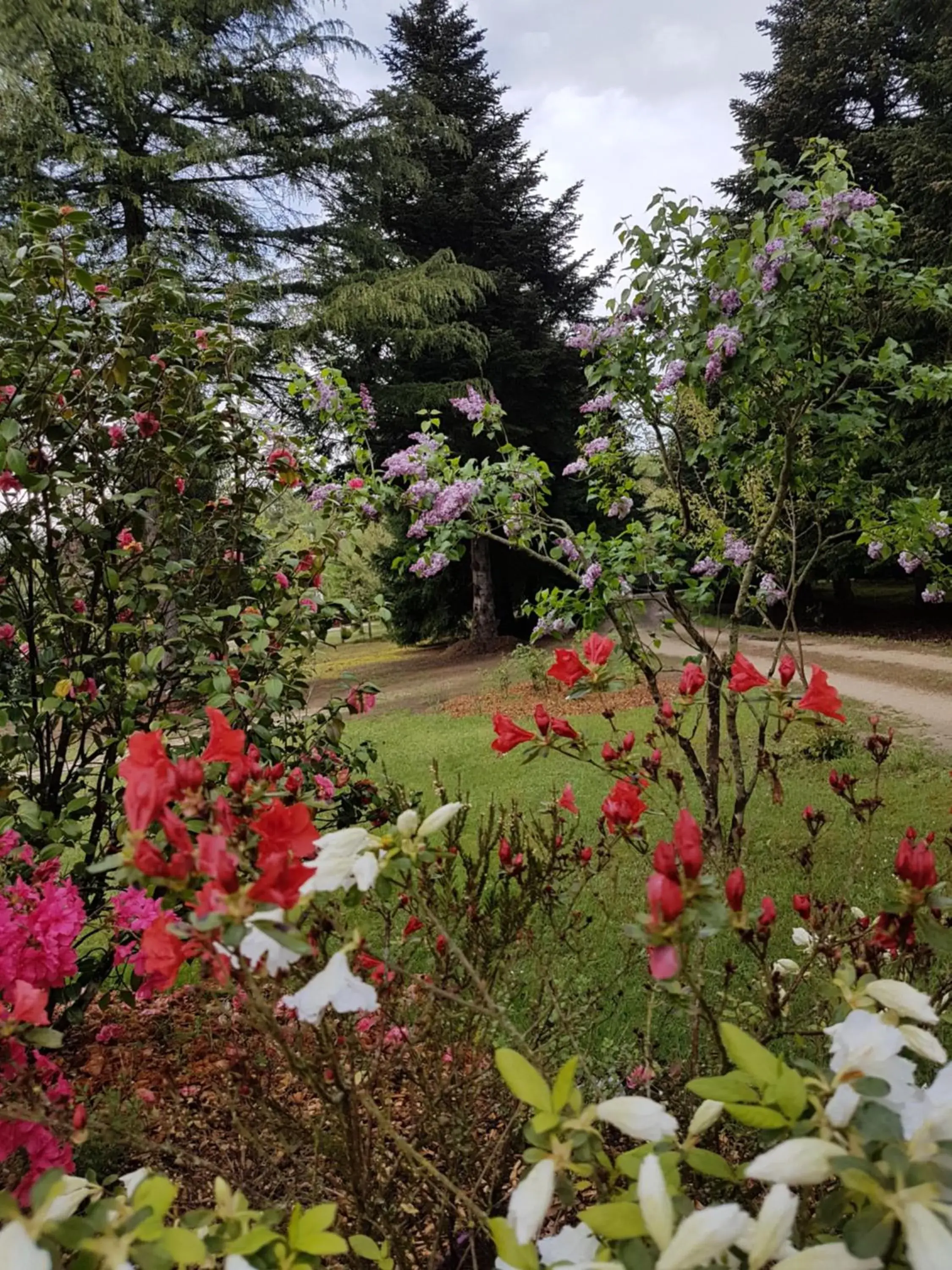 Double Room with Private Bathroom in Le Clos des Écureuils Double Room with Private Bathroom in Le Clos des Écureuils