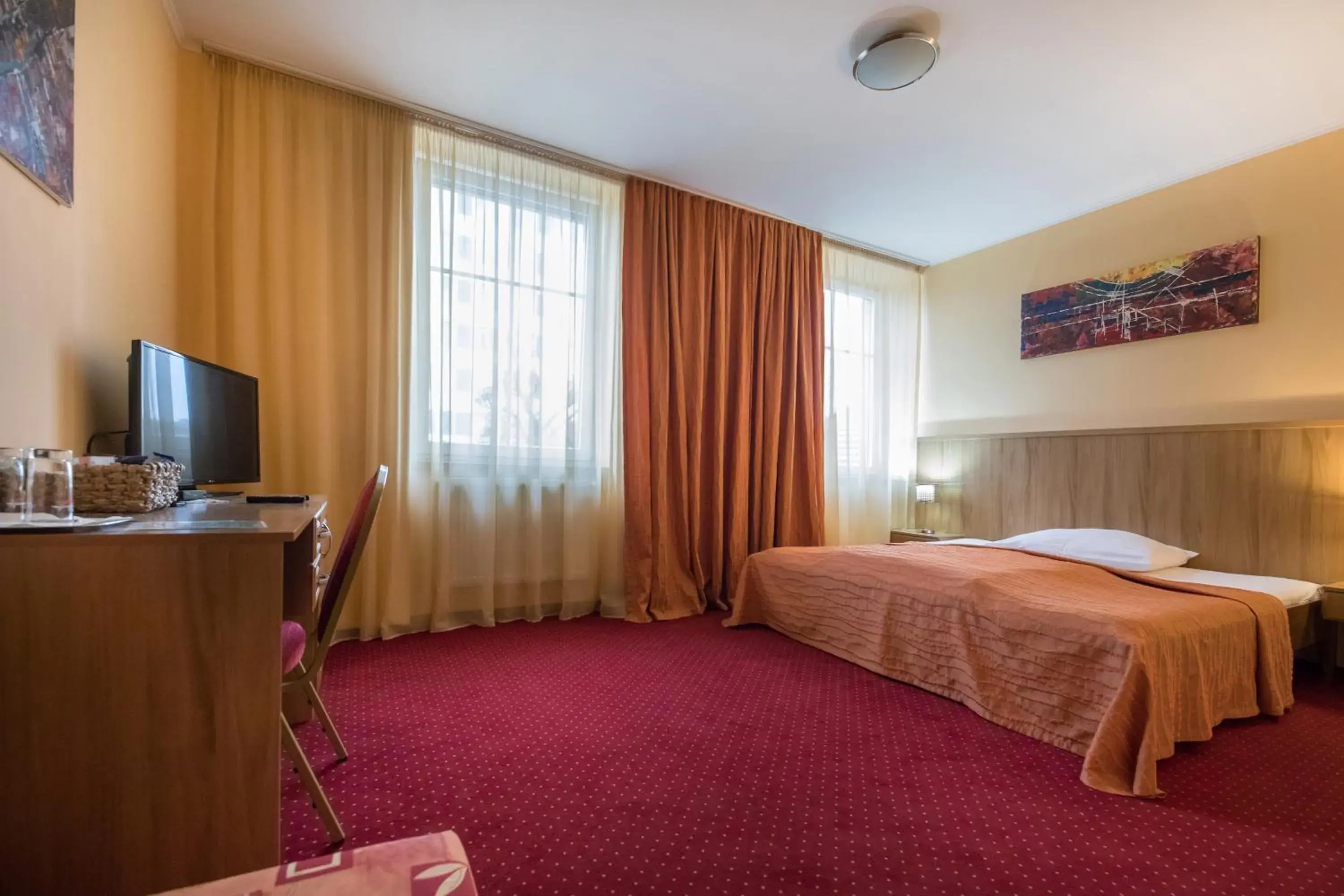 Deluxe Double Room - single occupancy in Hotel Slovan Deluxe Double Room - single occupancy in Hotel Slovan