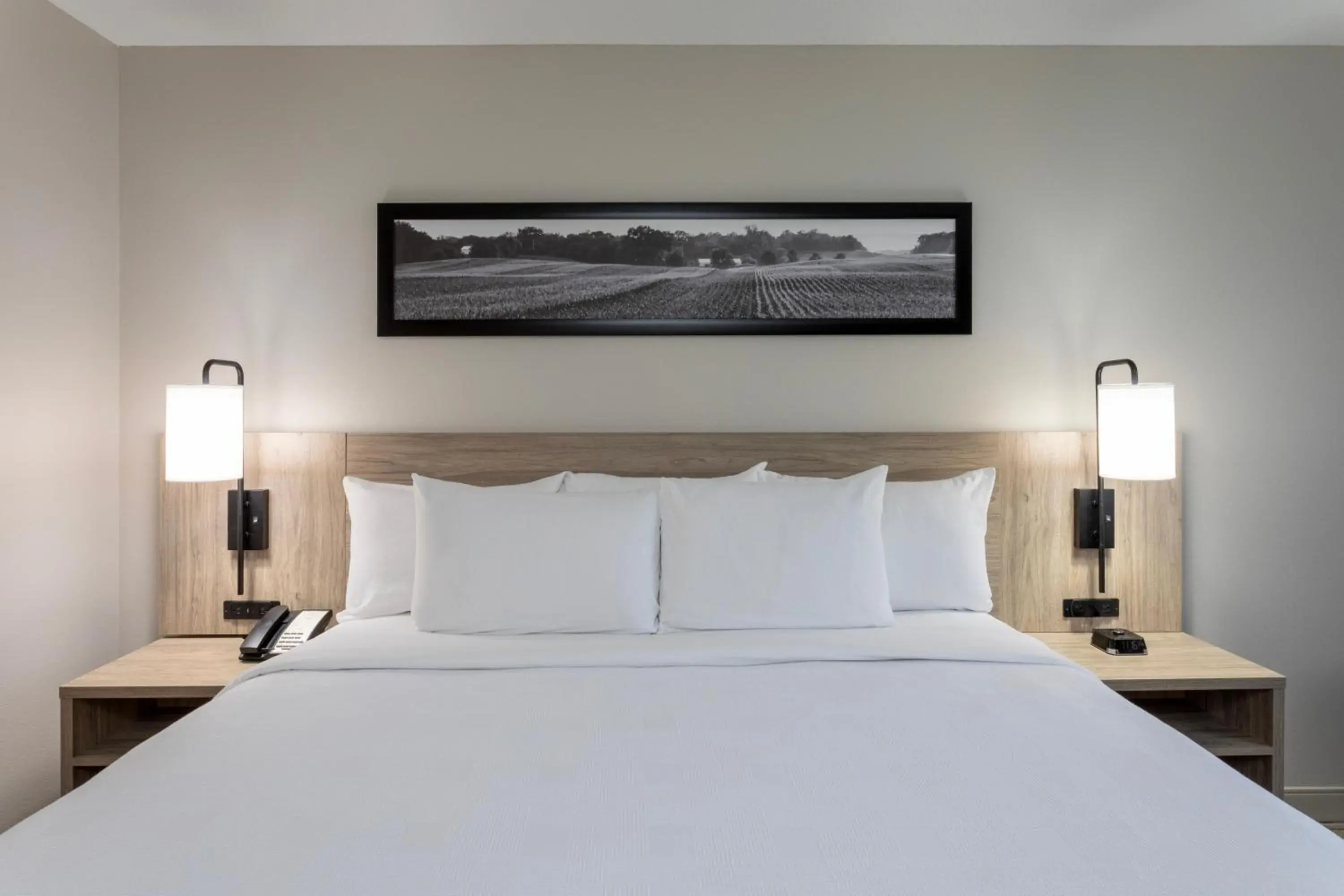 King Room with Sofa Bed in GrandStay Hotel & Suites King Room with Sofa Bed in GrandStay Hotel & Suites