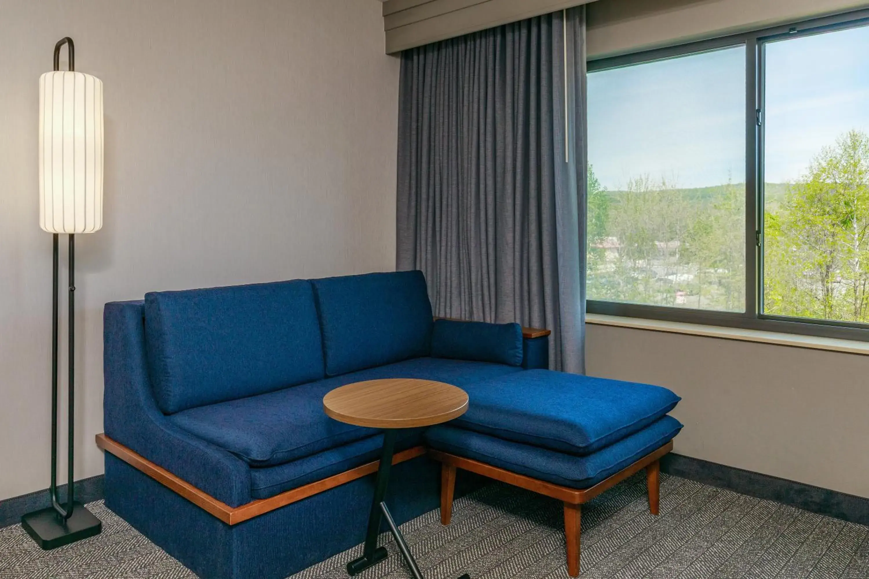 King Room with Sofa Bed in Courtyard by Marriott Oneonta King Room with Sofa Bed in Courtyard by Marriott Oneonta