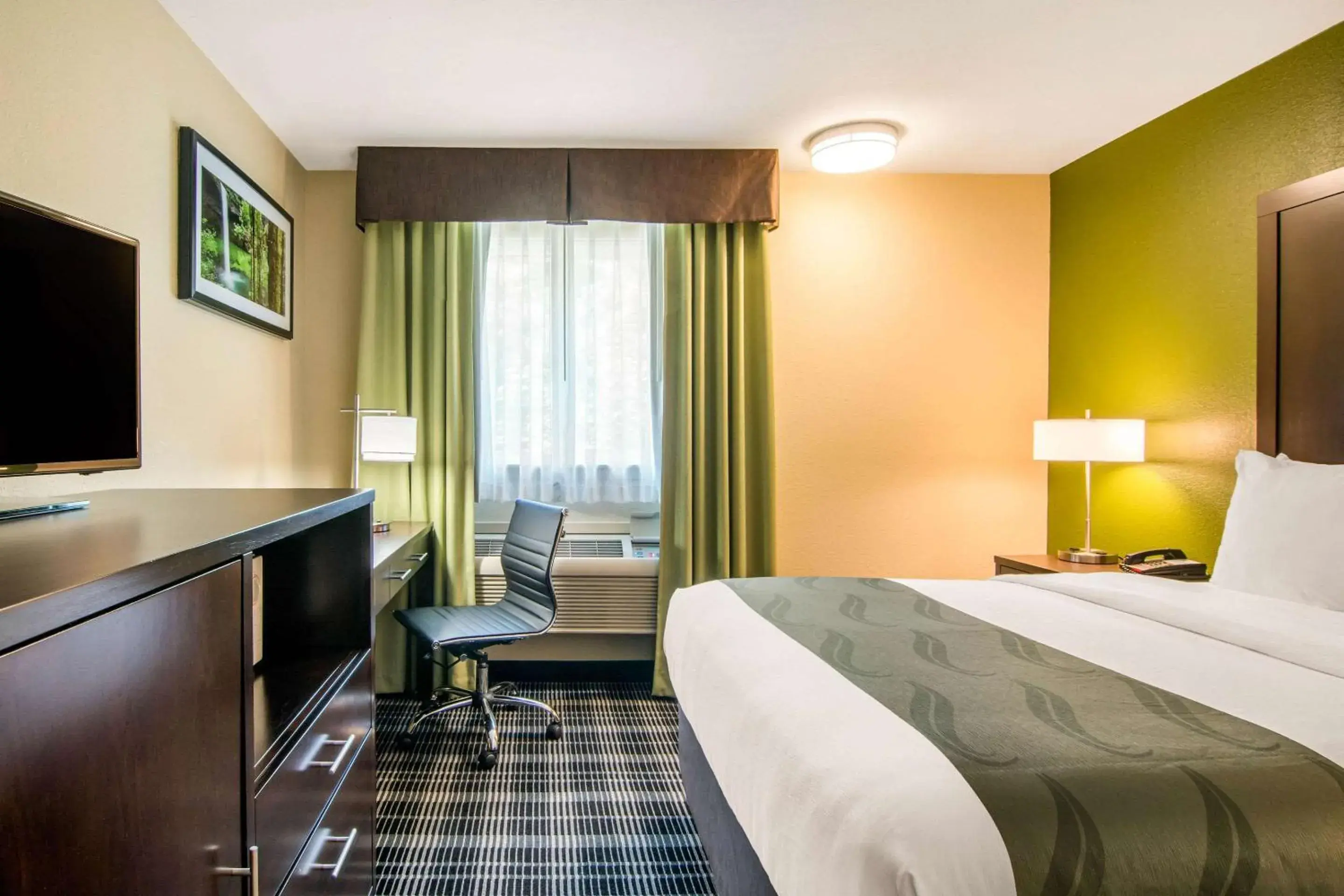 King Room - Non-Smoking in Quality Inn & Suites Albany Corvallis King Room - Non-Smoking in Quality Inn & Suites Albany Corvallis