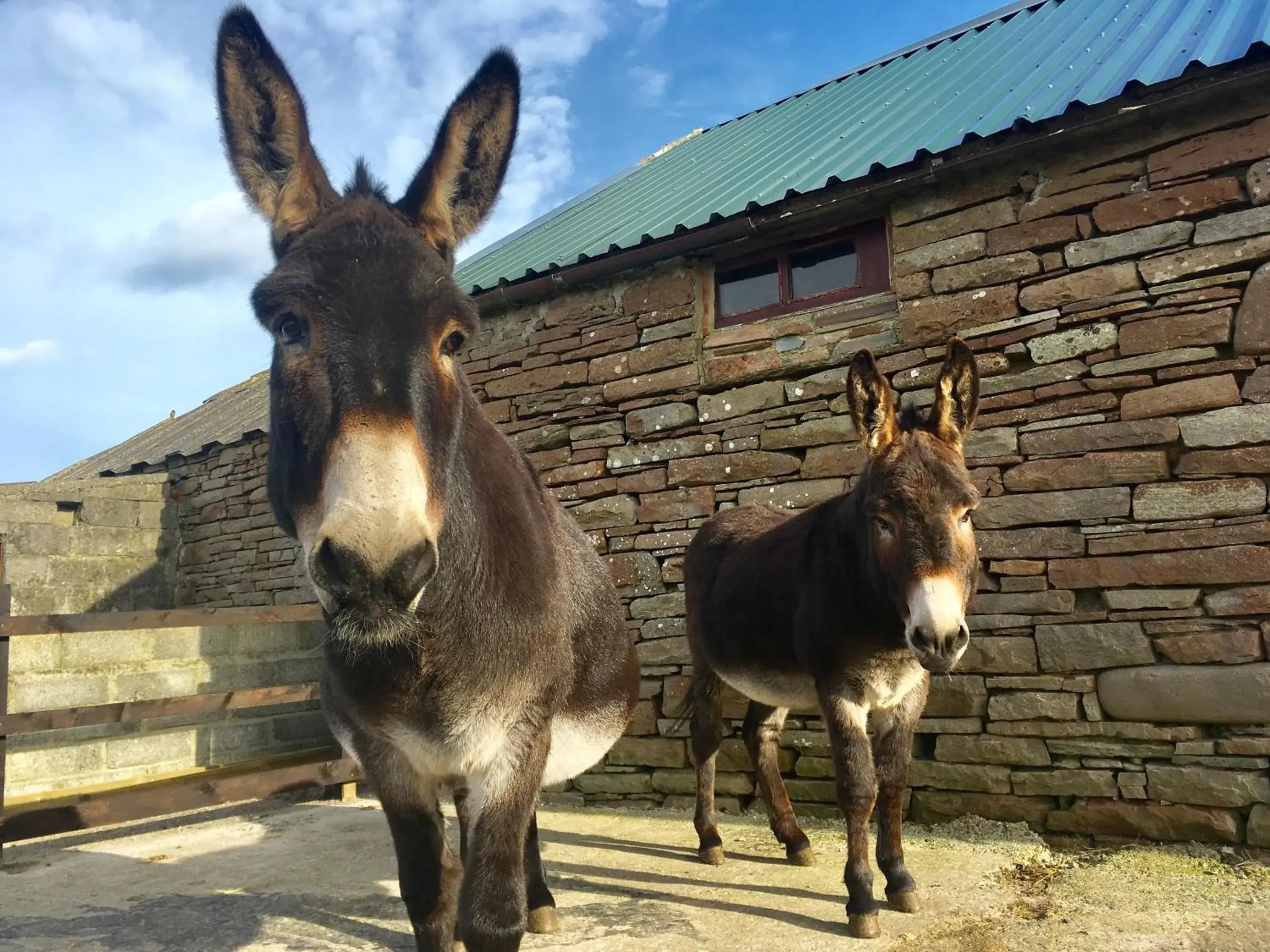 Puffin Cottage Puffin Cottage
