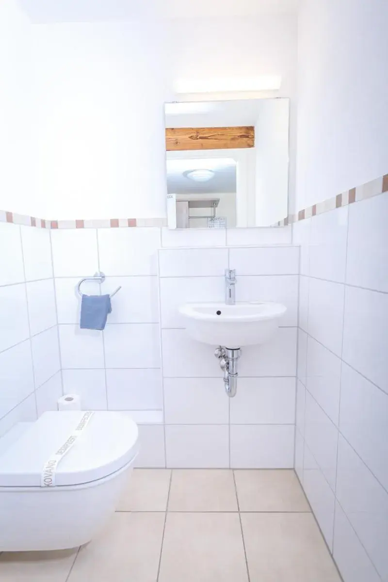 Superior Double Room - single occupancy in Bodensee Hotel Sternen Superior Double Room - single occupancy in Bodensee Hotel Sternen